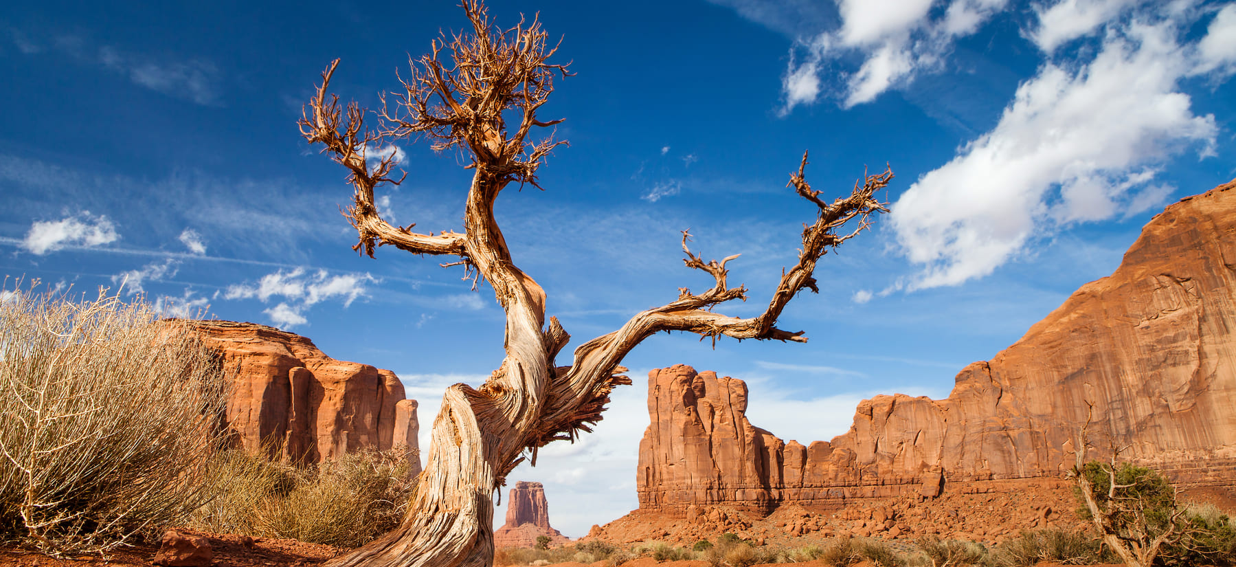 Discover the Wonders of Death Valley National Park Like Never Before