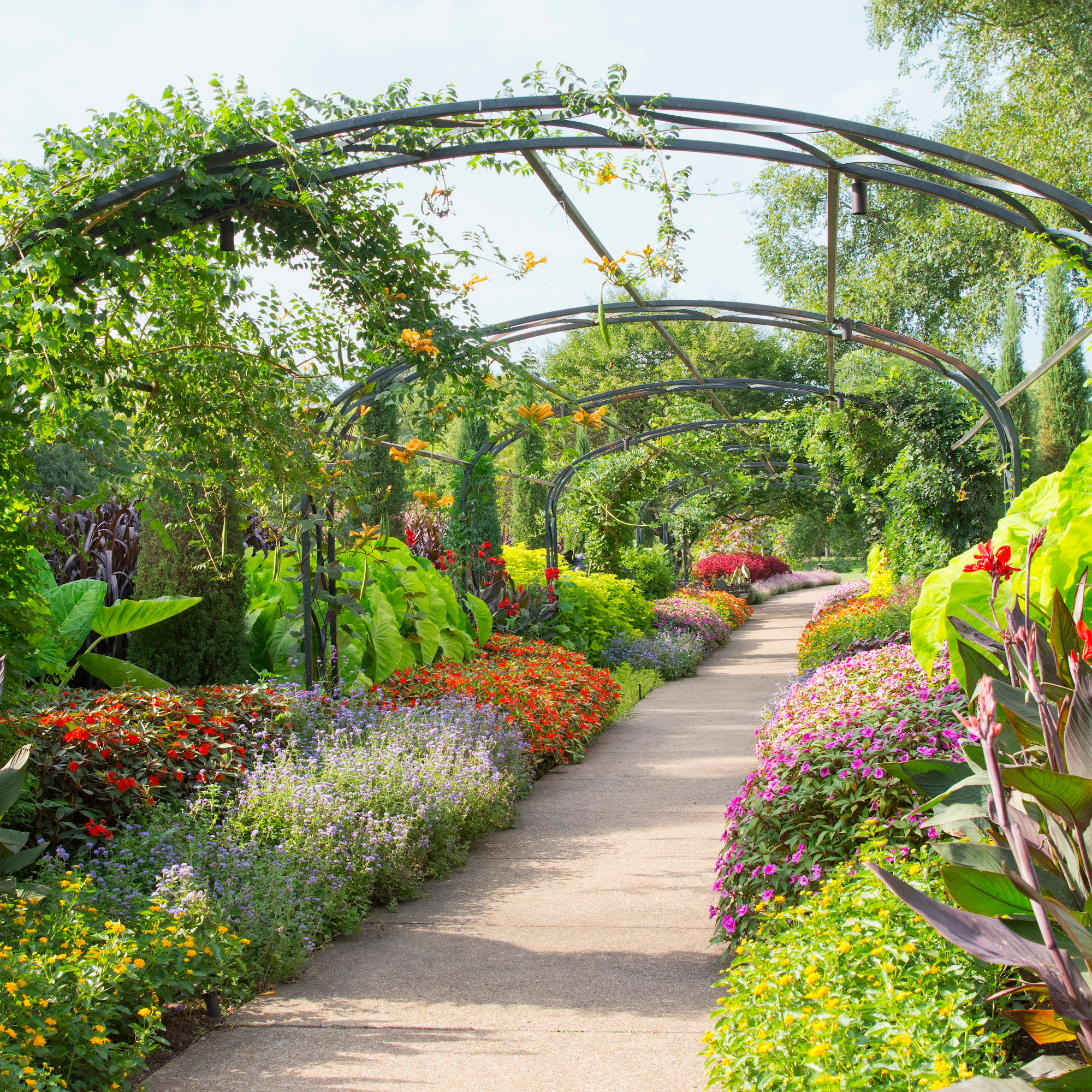 Discover the Wonders of Desert Botanical Garden: A Must-Visit Destination for Nature Enthusiasts