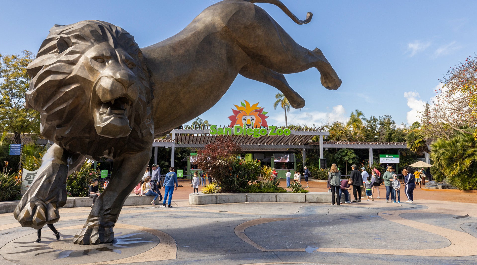 Discover the Wonders of San Diego Zoo: An Ultimate Guide