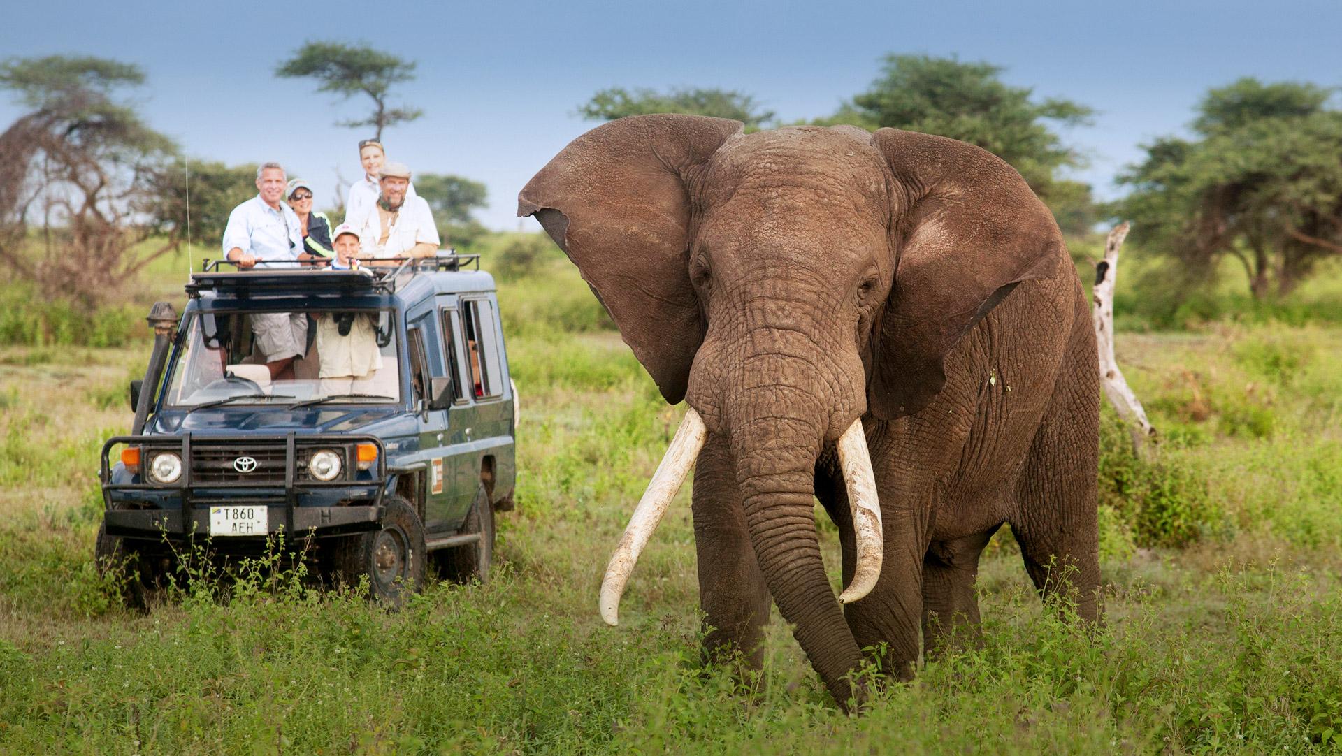 Discover the Wonders of San Diego Zoo: An Ultimate Guide