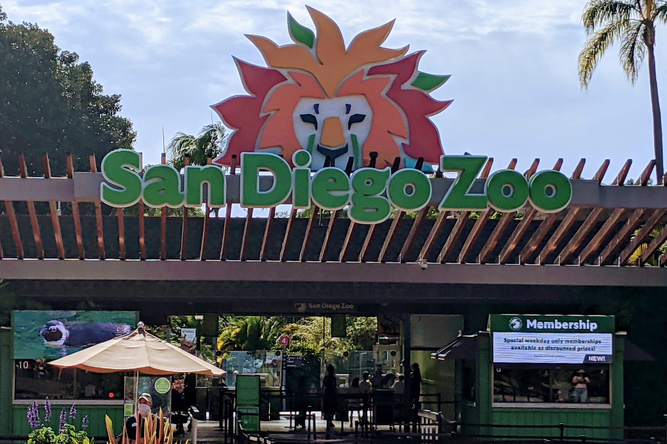 Discover the Wonders of San Diego Zoo: An Ultimate Guide