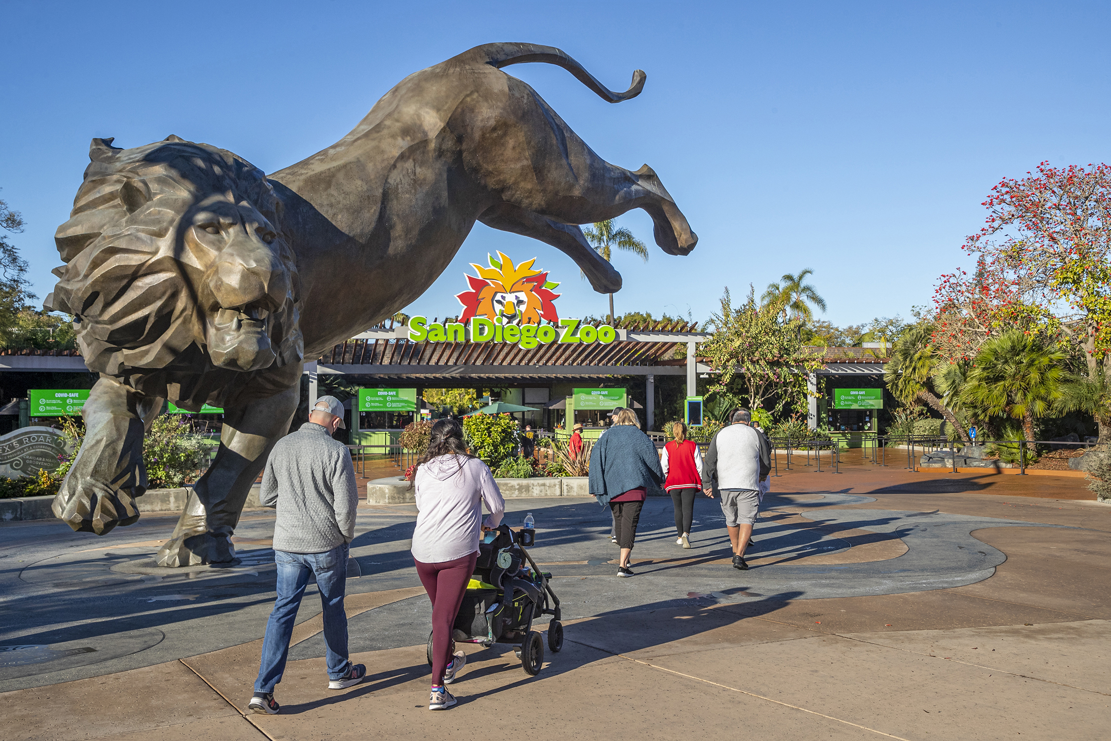 Discover the Wonders of San Diego Zoo: An Ultimate Guide