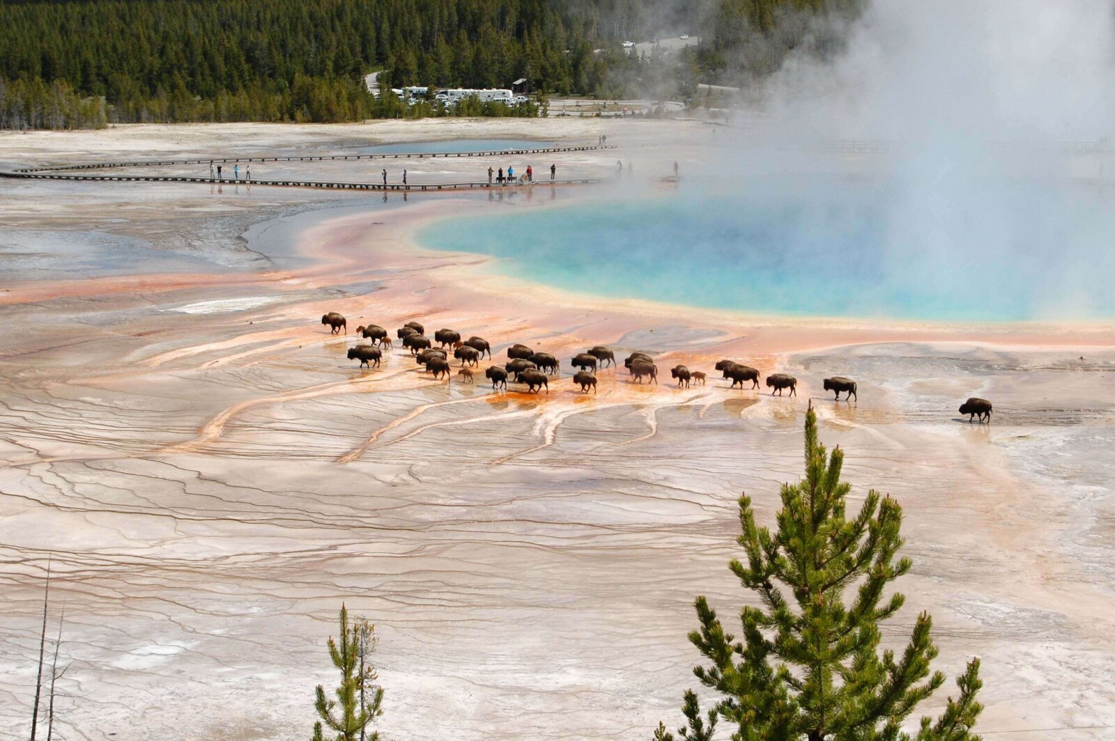 Discover Yellowstone National Park: An Epic Adventure You Can’t Miss
