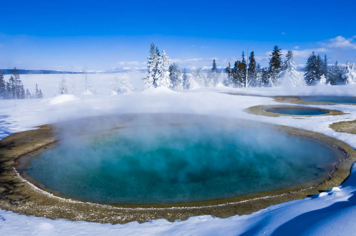 Discover Yellowstone National Park: An Epic Adventure You Can’t Miss