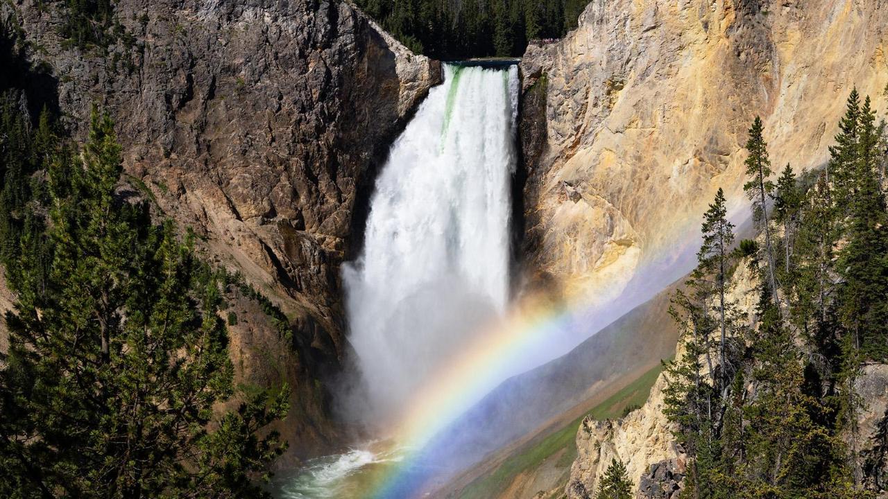 Discover Yellowstone National Park: An Epic Adventure You Can’t Miss