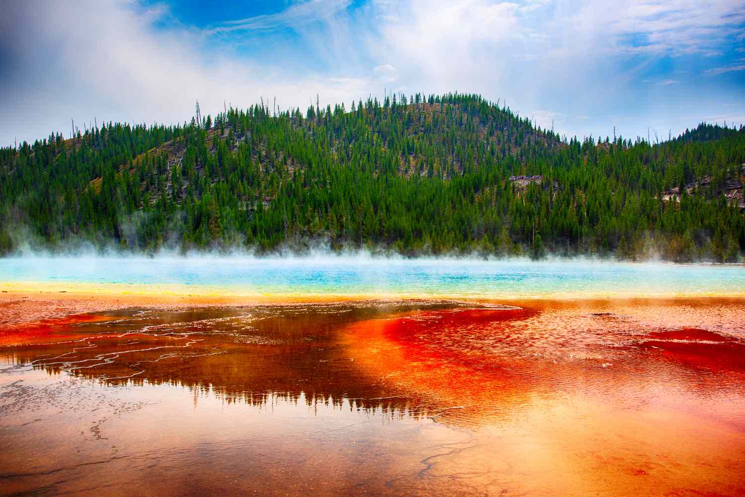 Discover Yellowstone National Park: An Epic Adventure You Can’t Miss