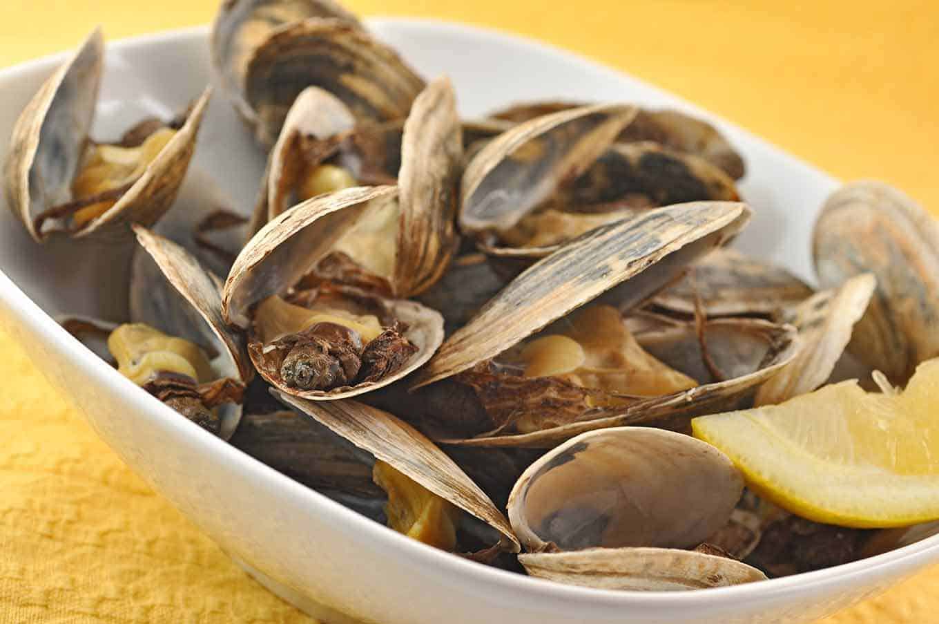 Discovering New England Clams: The Ultimate Culinary Delight with The Monroe Hotels