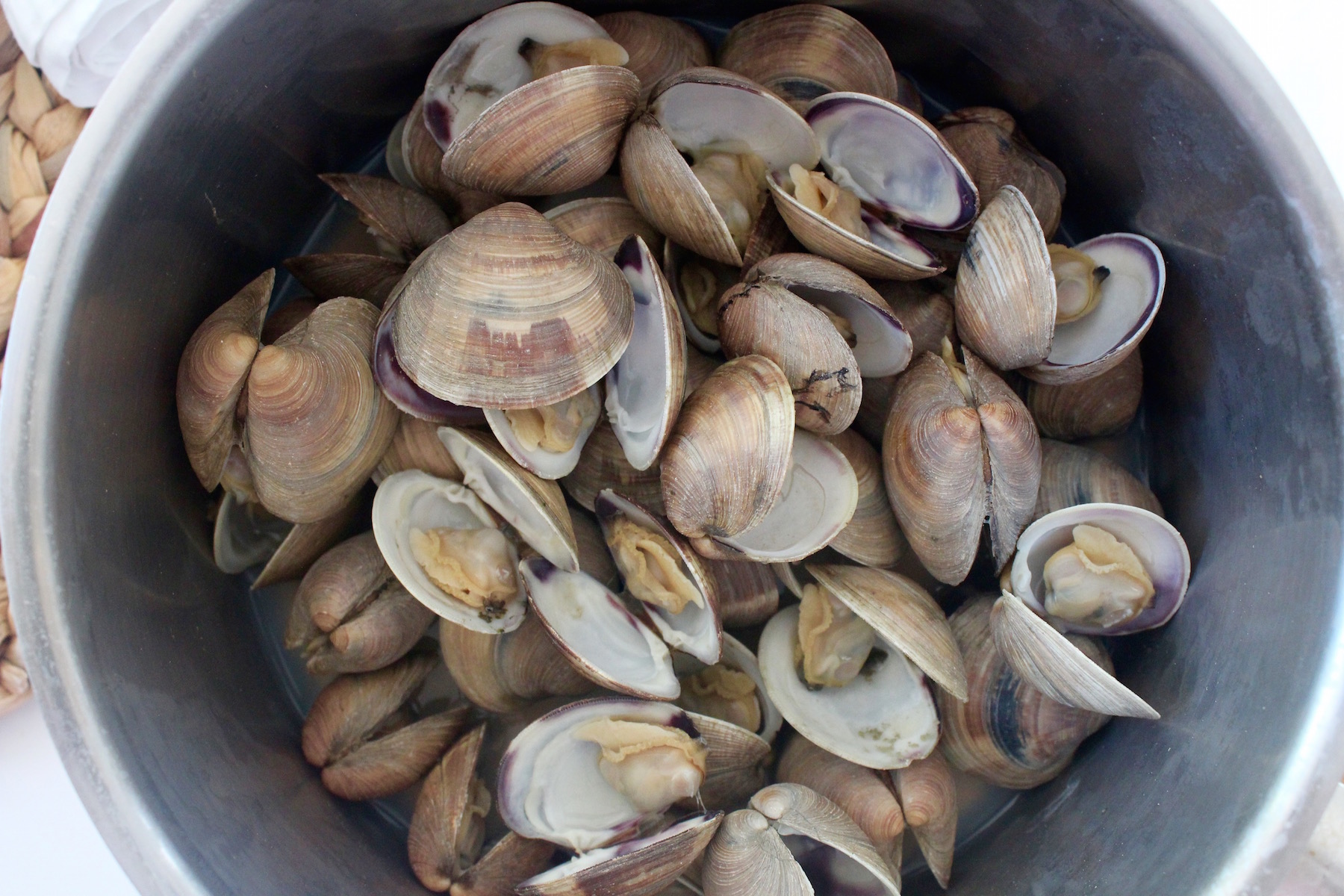 Discovering New England Clams: The Ultimate Culinary Delight with The Monroe Hotels