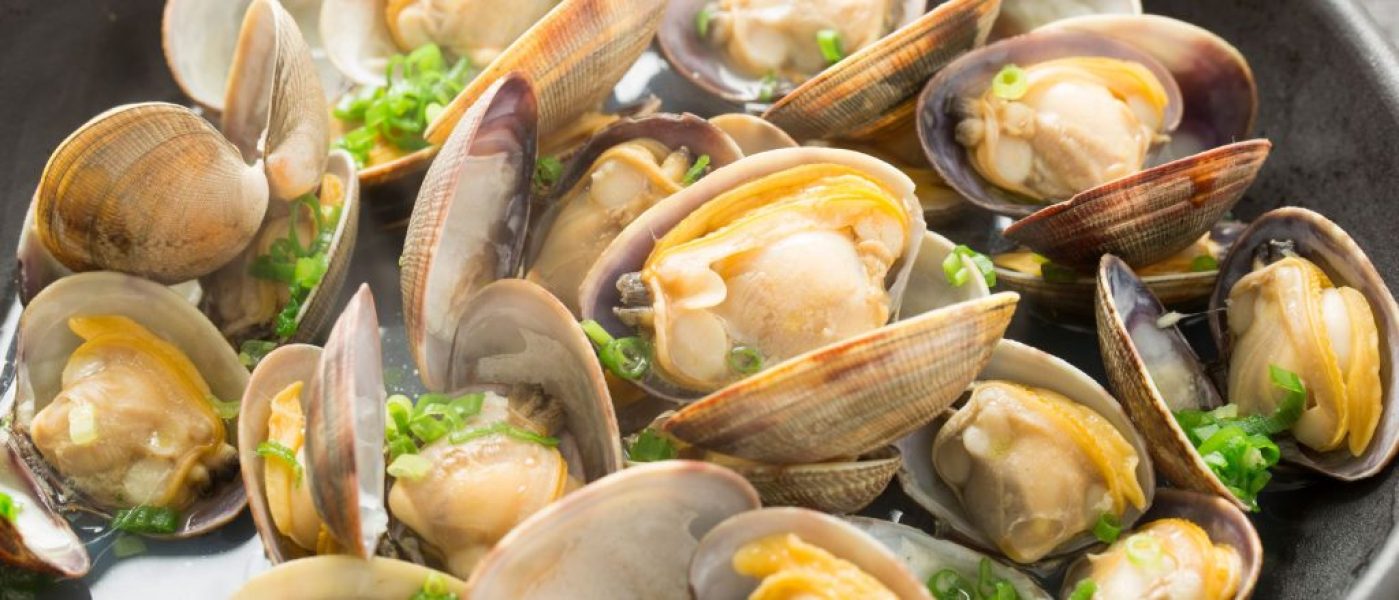 Discovering New England Clams: The Ultimate Culinary Delight with The Monroe Hotels