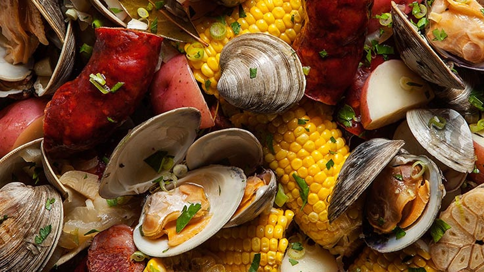 Discovering New England Clams: The Ultimate Culinary Delight with The Monroe Hotels