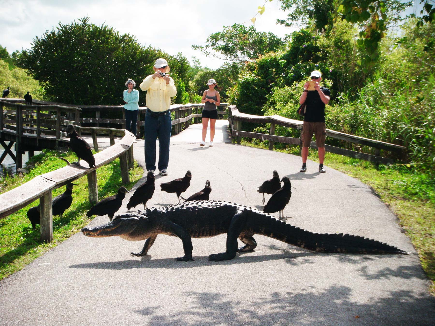 Everglades National Park: The Ultimate Adventure Spot You Can’t Miss