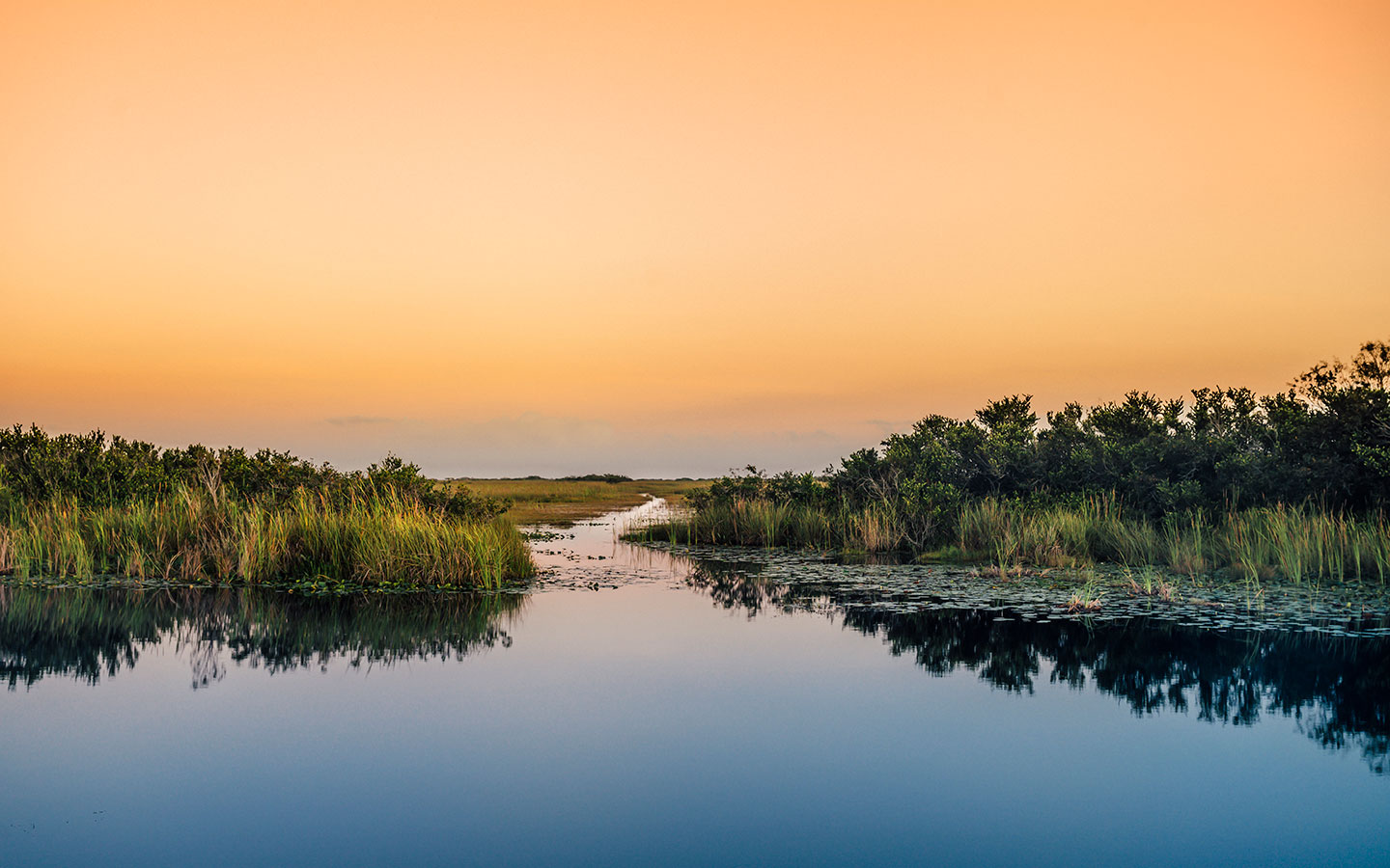 Everglades National Park: The Ultimate Adventure Spot You Can’t Miss