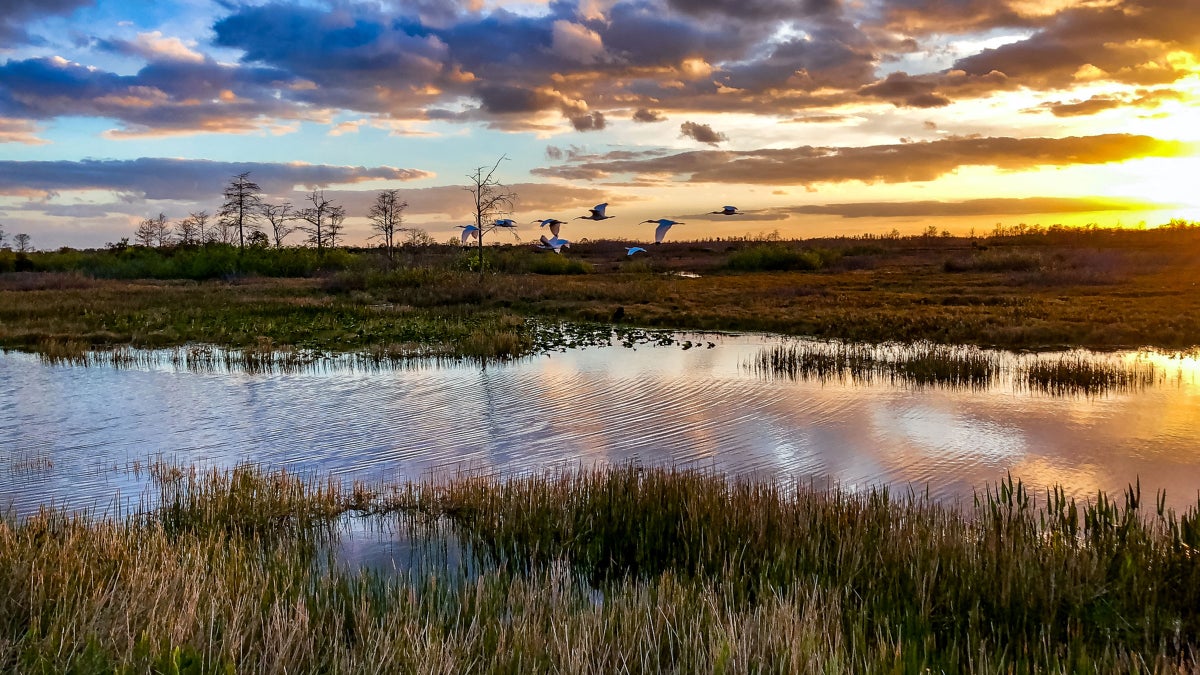 Everglades National Park: The Ultimate Adventure Spot You Can’t Miss