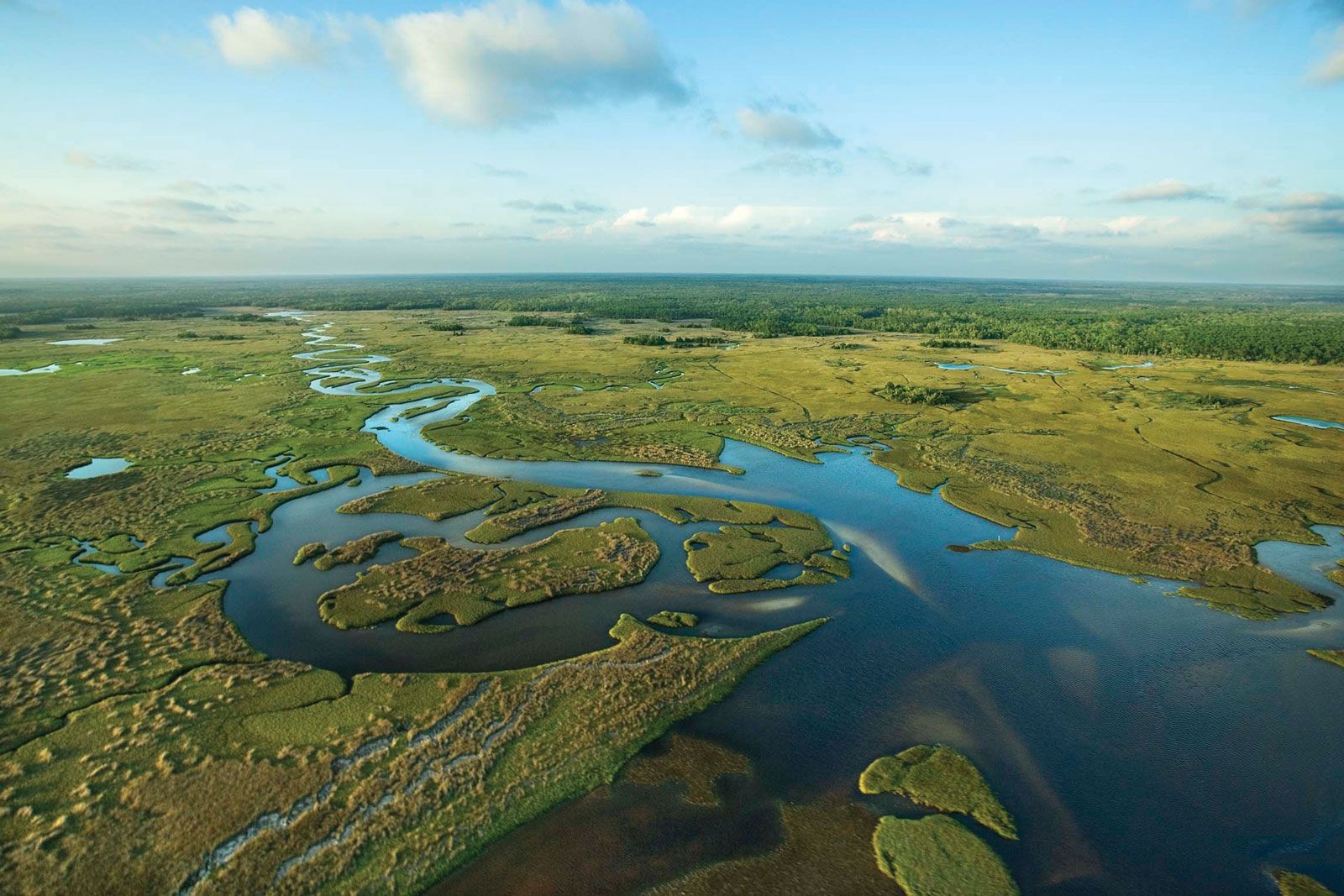 Everglades National Park: The Ultimate Adventure Spot You Can’t Miss