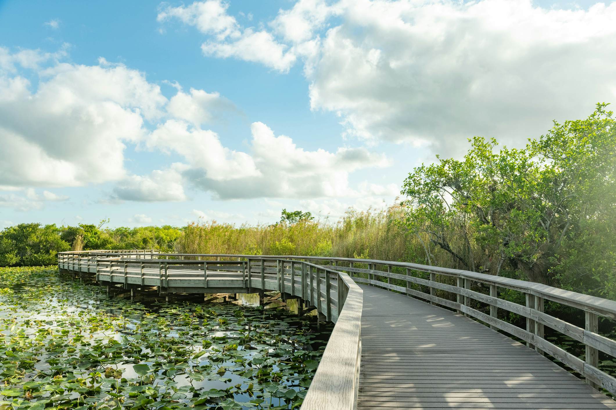 Everglades National Park: The Ultimate Adventure Spot You Can’t Miss