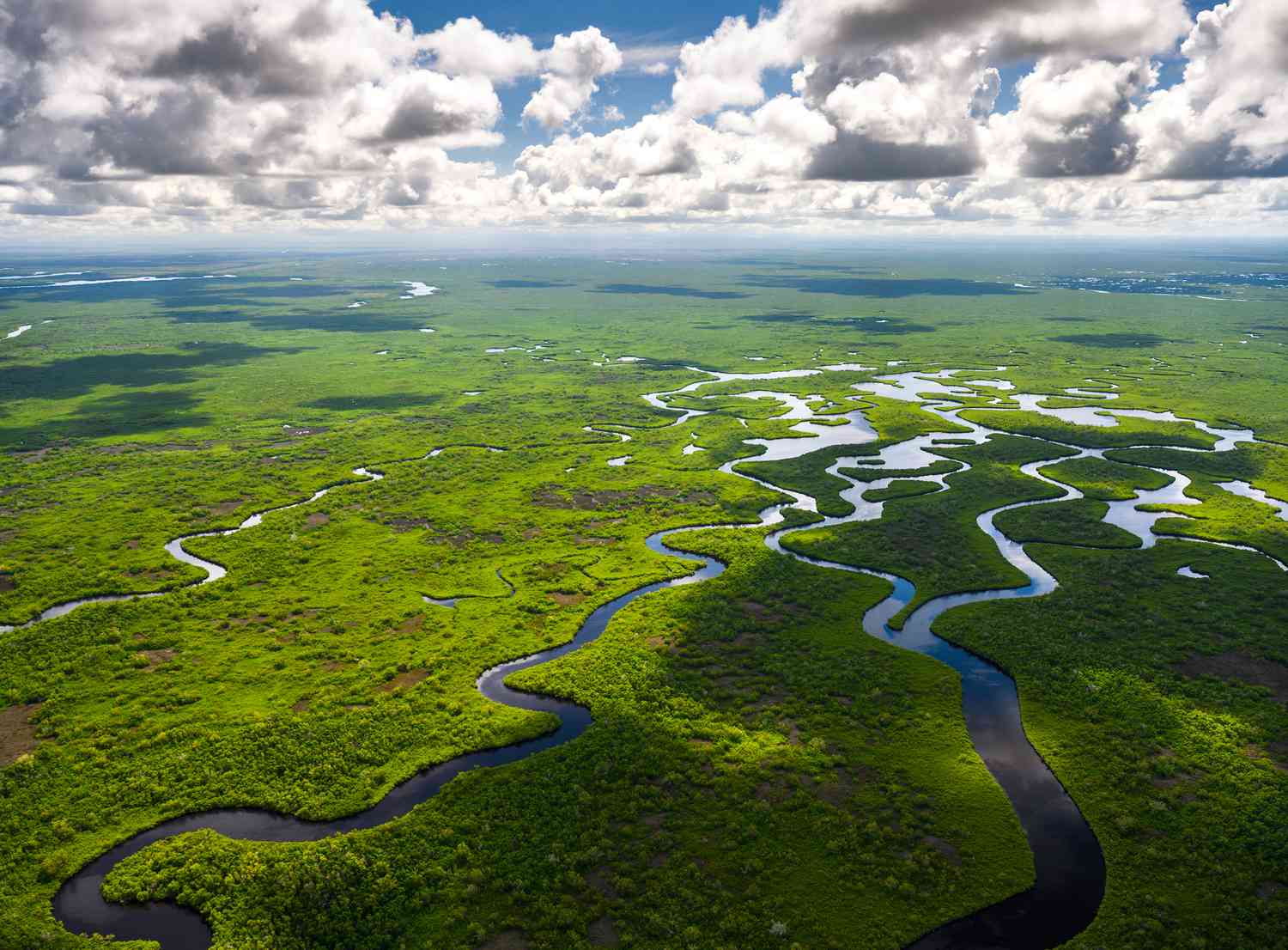 Everglades National Park: The Ultimate Adventure Spot You Can’t Miss