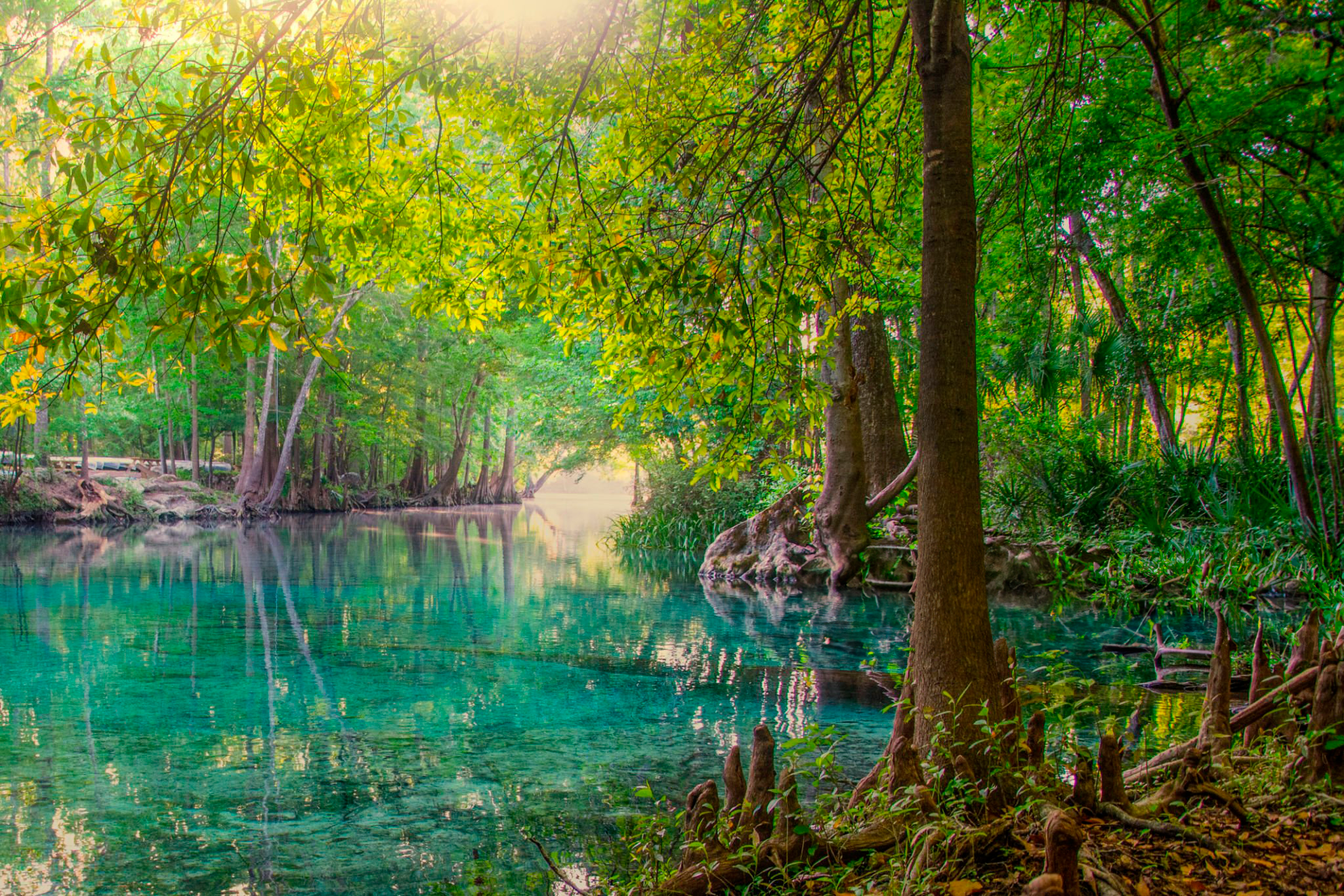 Everglades National Park: The Ultimate Adventure Spot You Can’t Miss