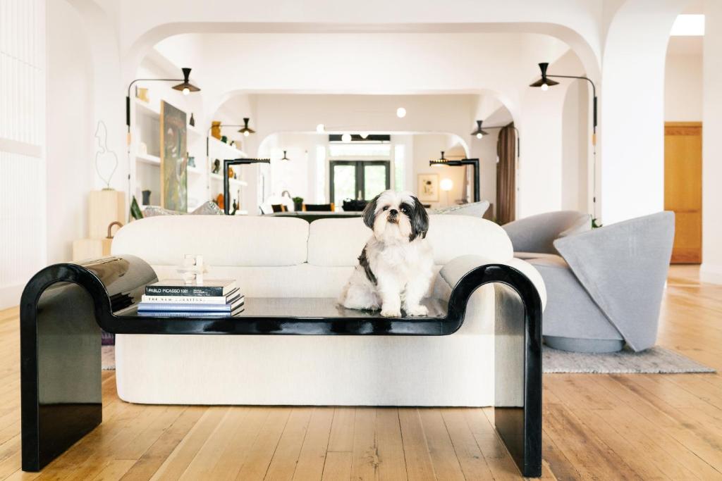 Experience Luxury at Hotel Grand Stark: The Ultimate Stay in Portland