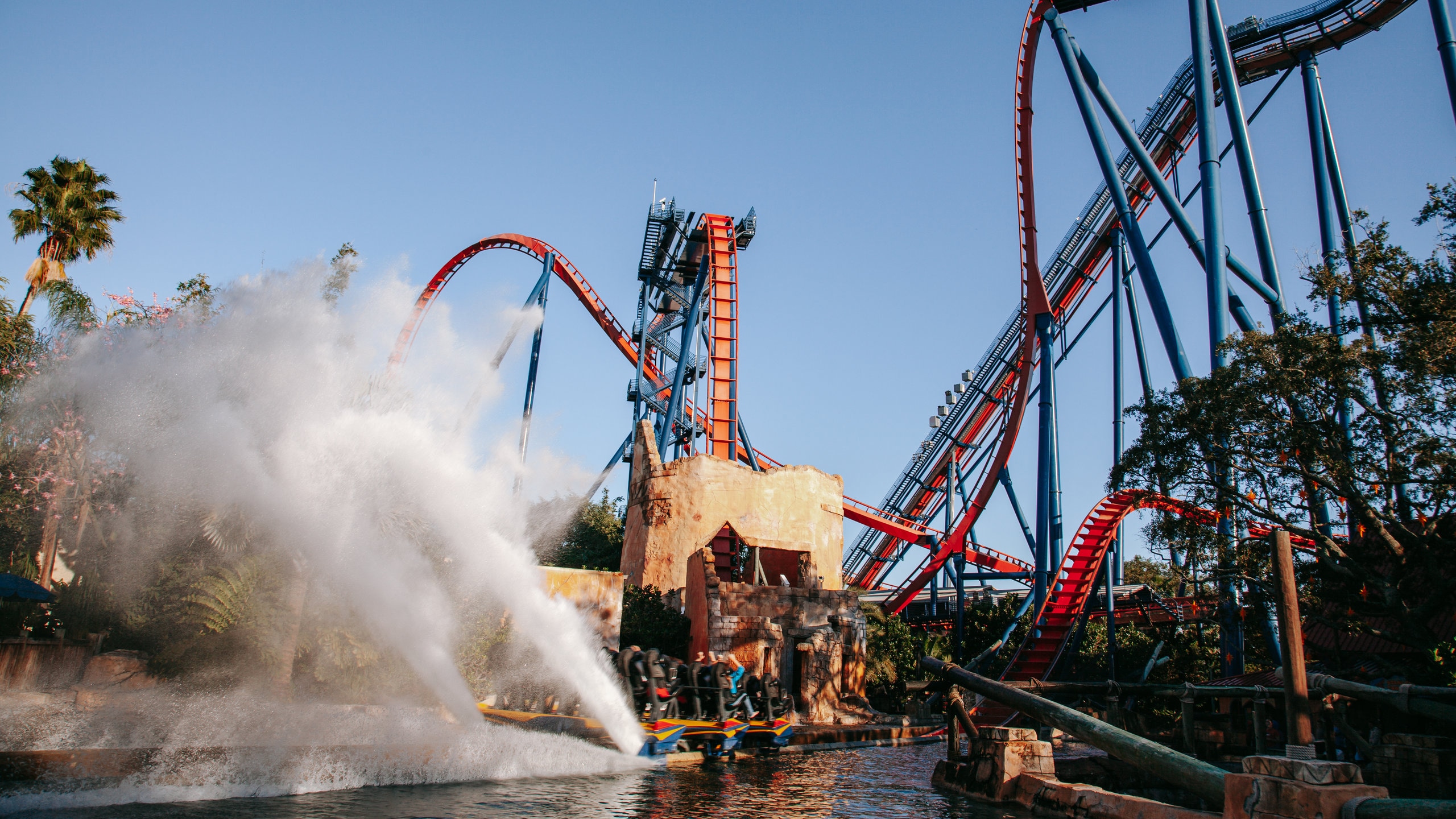 Explore Busch Gardens Tampa Bay: An Unforgettable Adventure Awaits