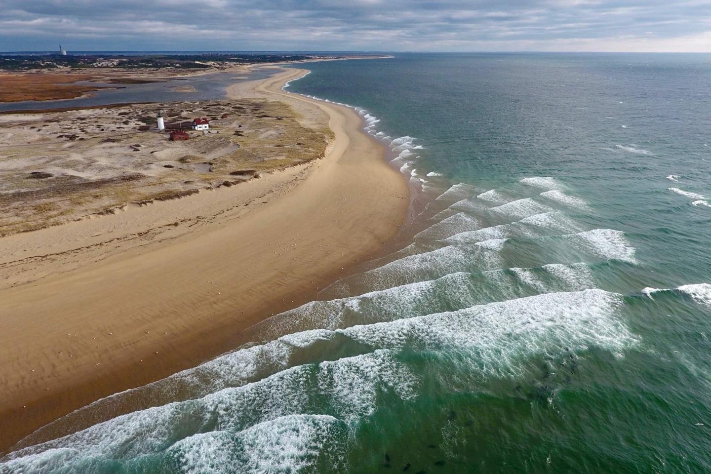 Explore Cape Cod: A Perfect Destination for Your Next Getaway with The Monroe Hotels