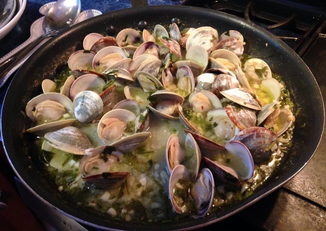 Explore Cape Cod: A Perfect Destination for Your Next Getaway with The Monroe Hotels