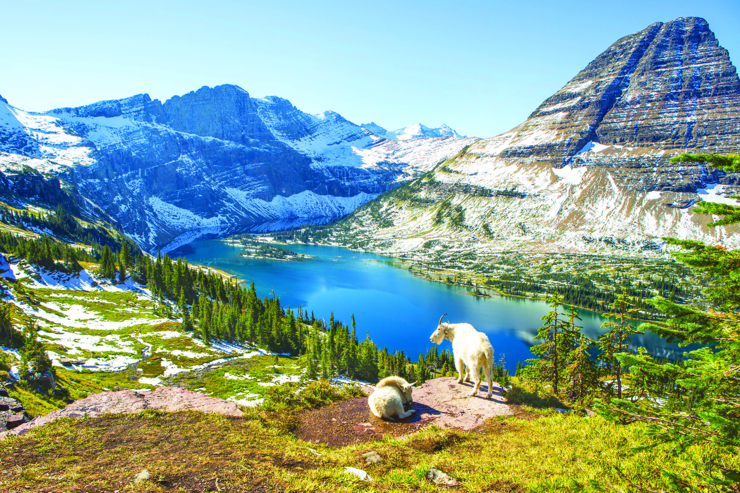 Explore Glacier National Park Like Never Before