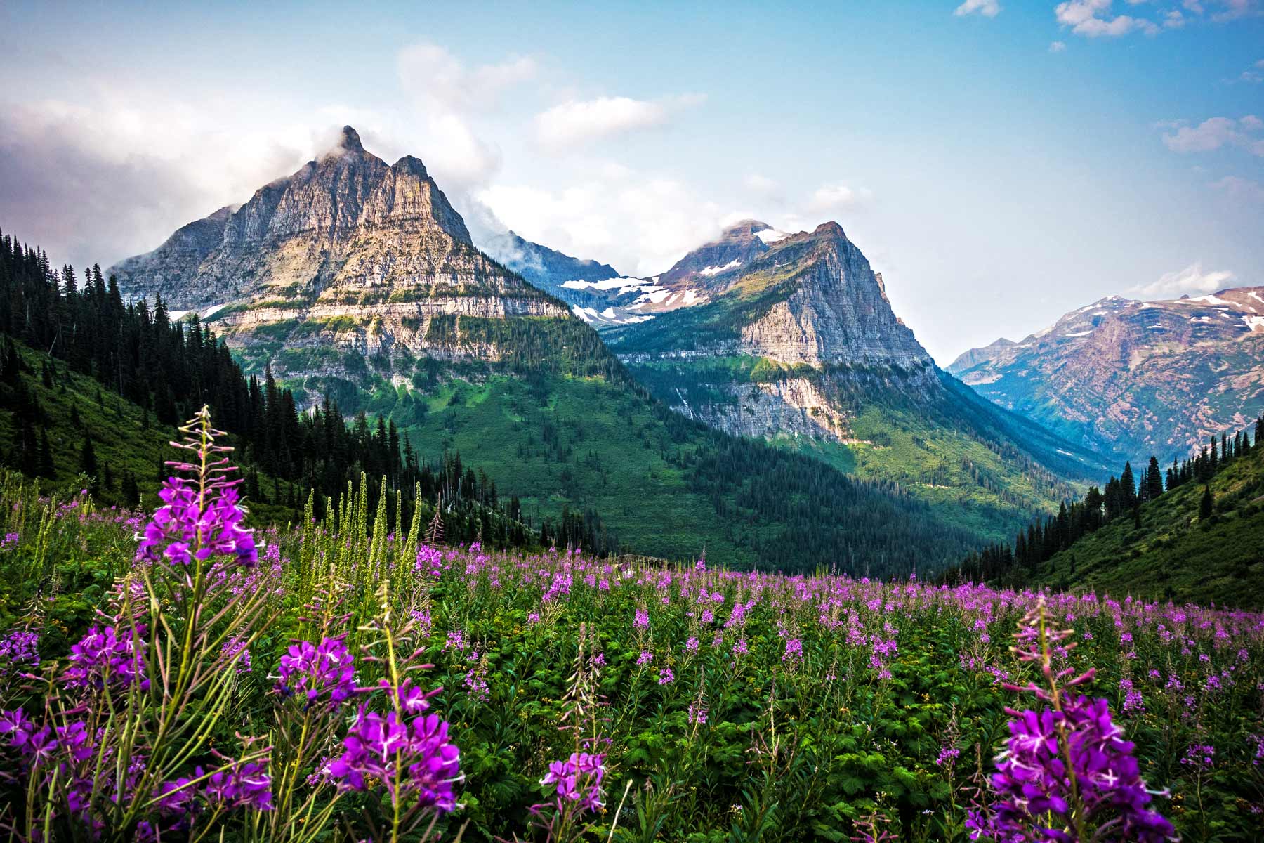 Explore Glacier National Park Like Never Before