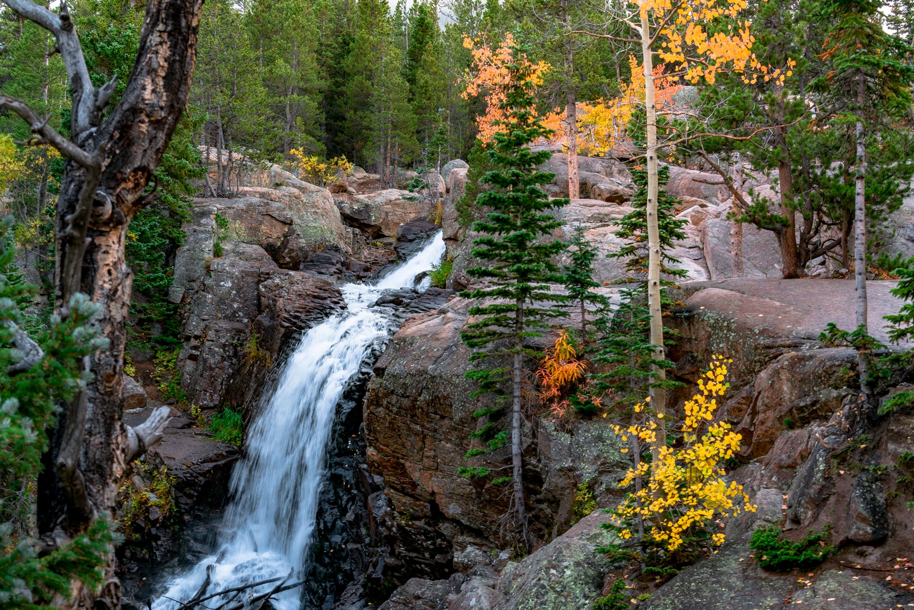 Explore Rocky Mountain National Park: Your Ultimate Adventure Guide