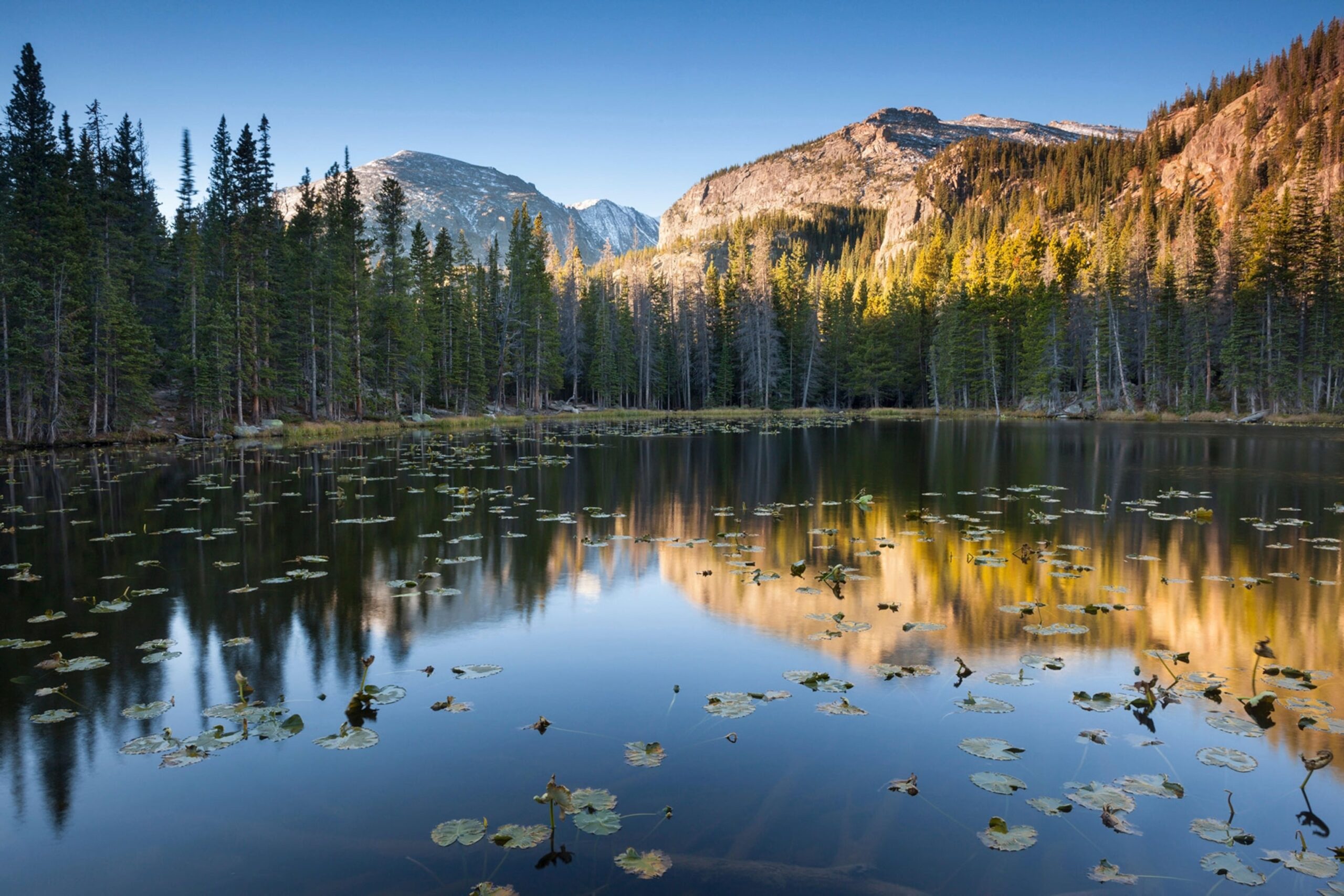 Explore Rocky Mountain National Park: Your Ultimate Adventure Guide
