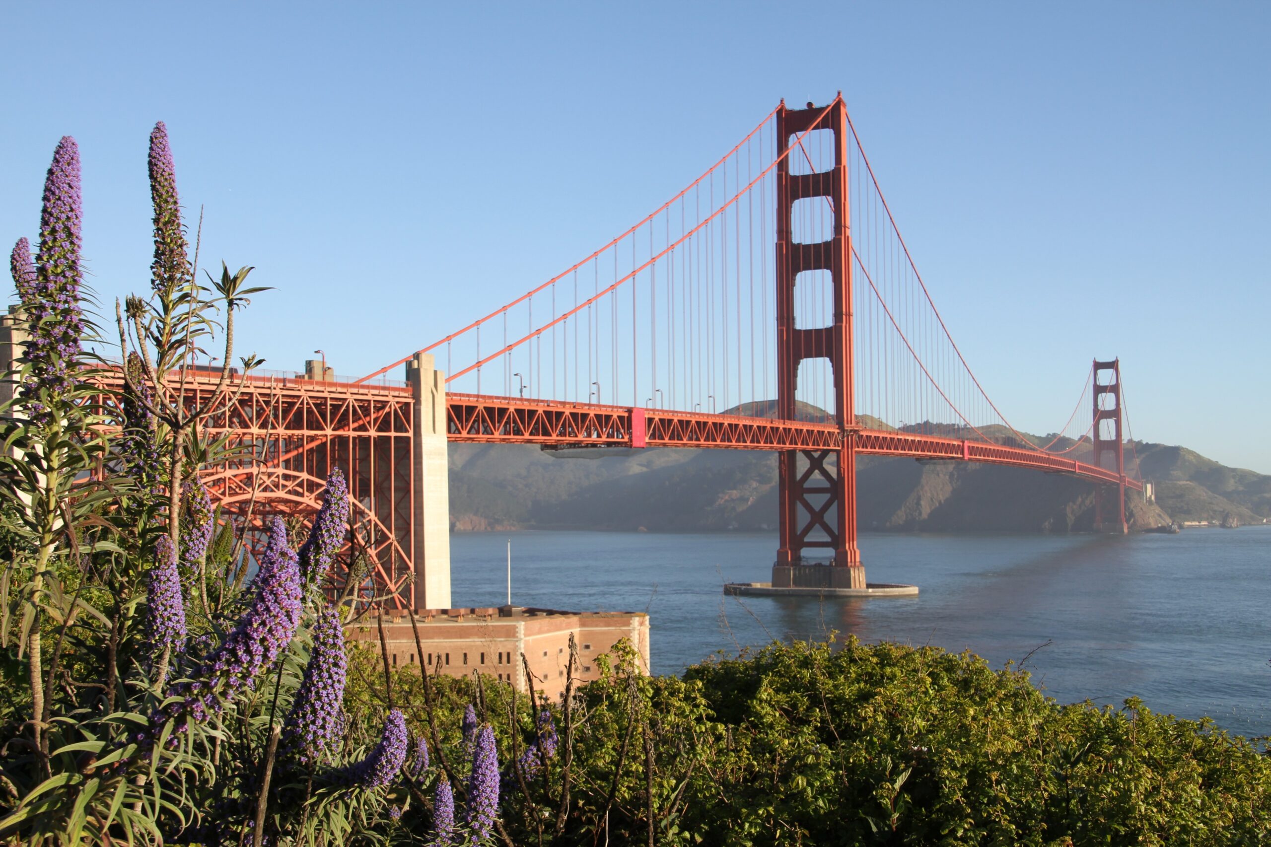 Explore the Majestic Golden Gate Bridge Like Never Before