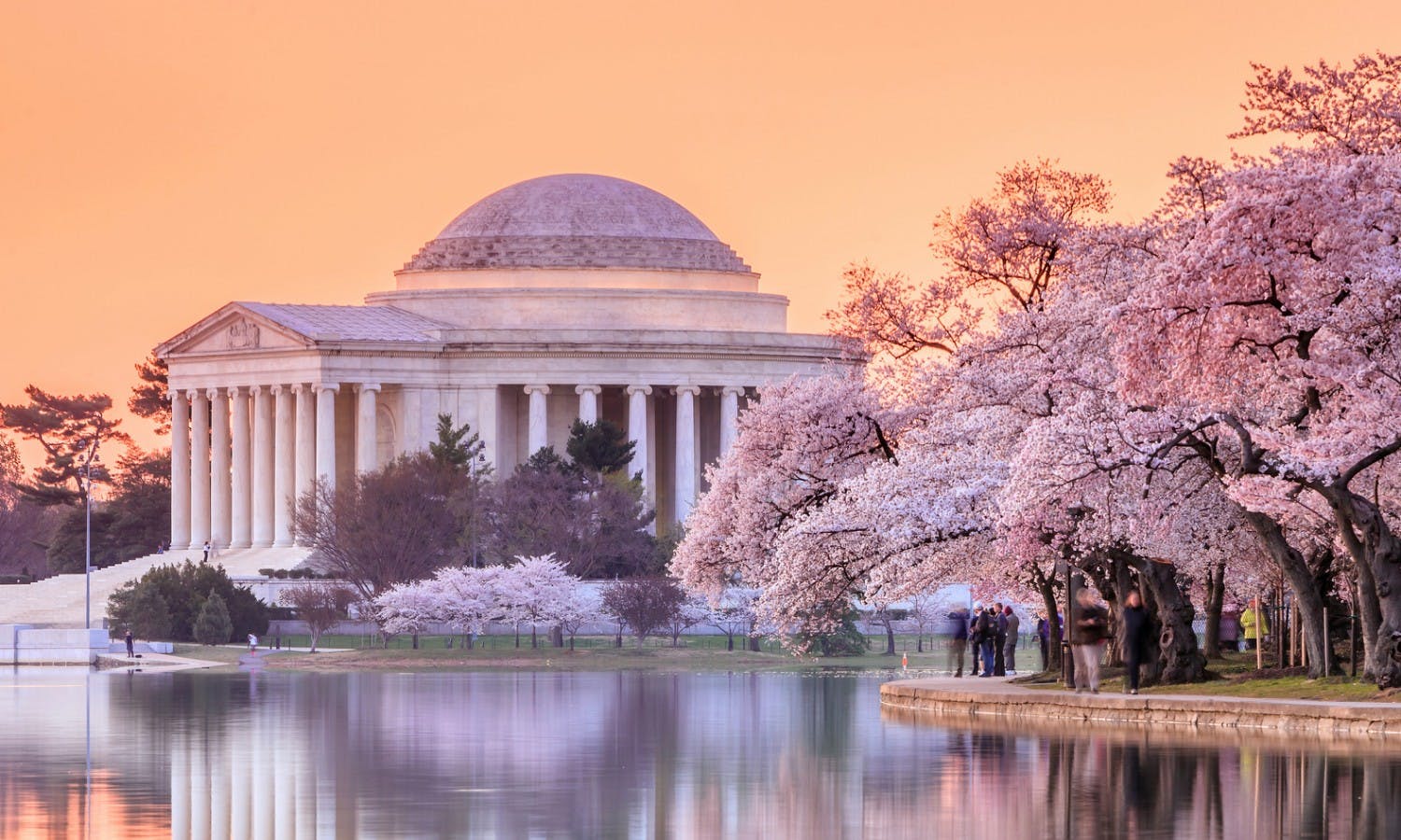 Explore Washington D.C.: The Ultimate Guide to the Capital Vibes