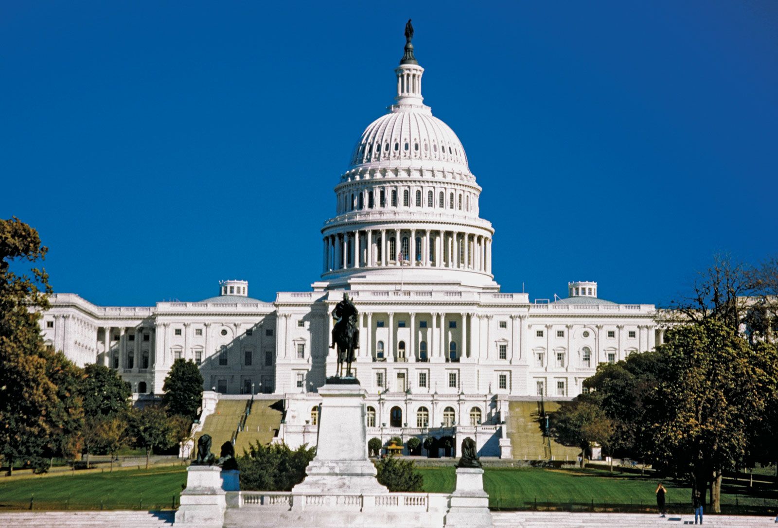 Explore Washington D.C.: The Ultimate Guide to the Capital Vibes