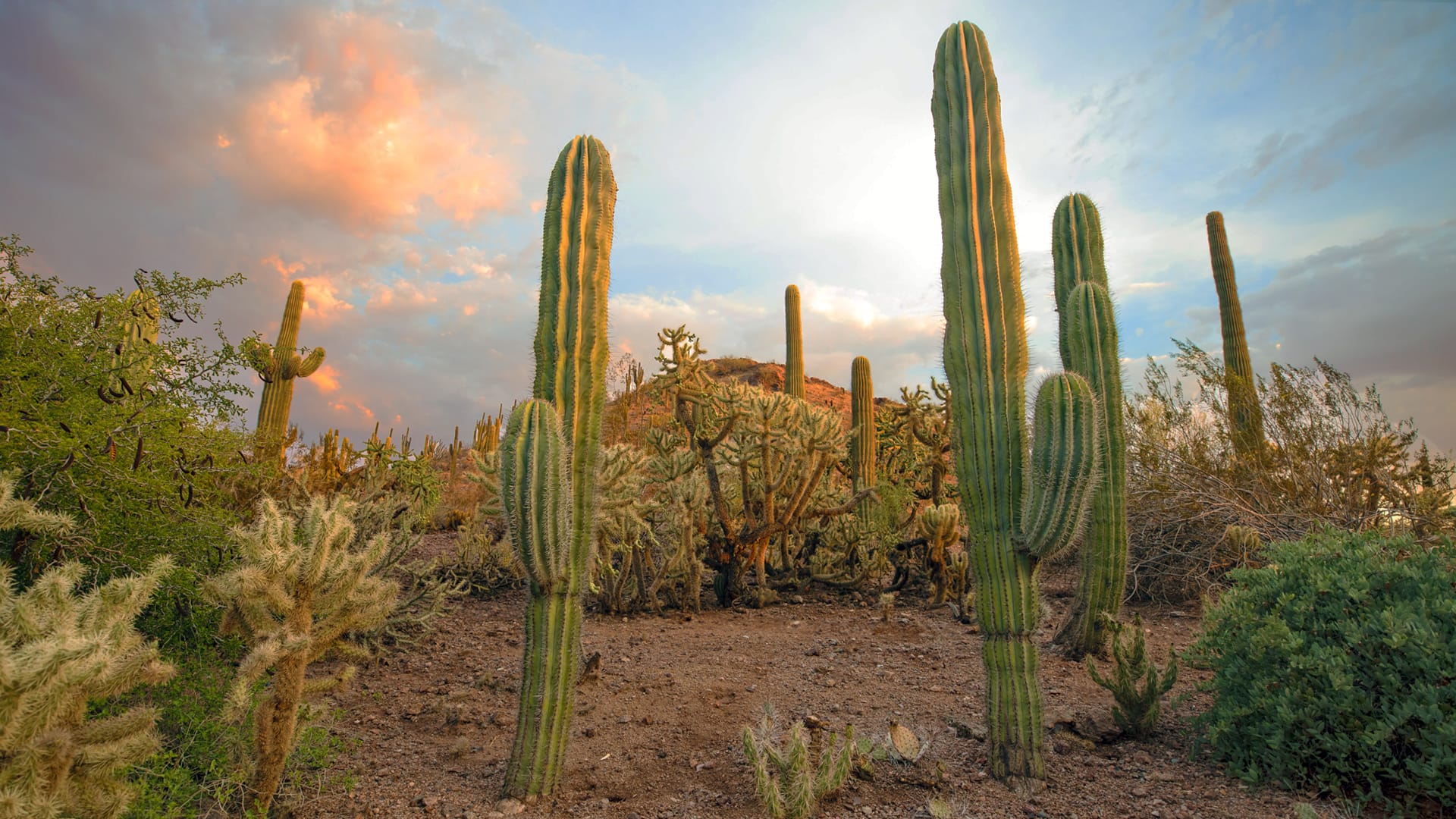 Exploring Camelback Mountain: A Hidden Gem You Can&#8217;t Miss – The Ultimate Adventure Awaits