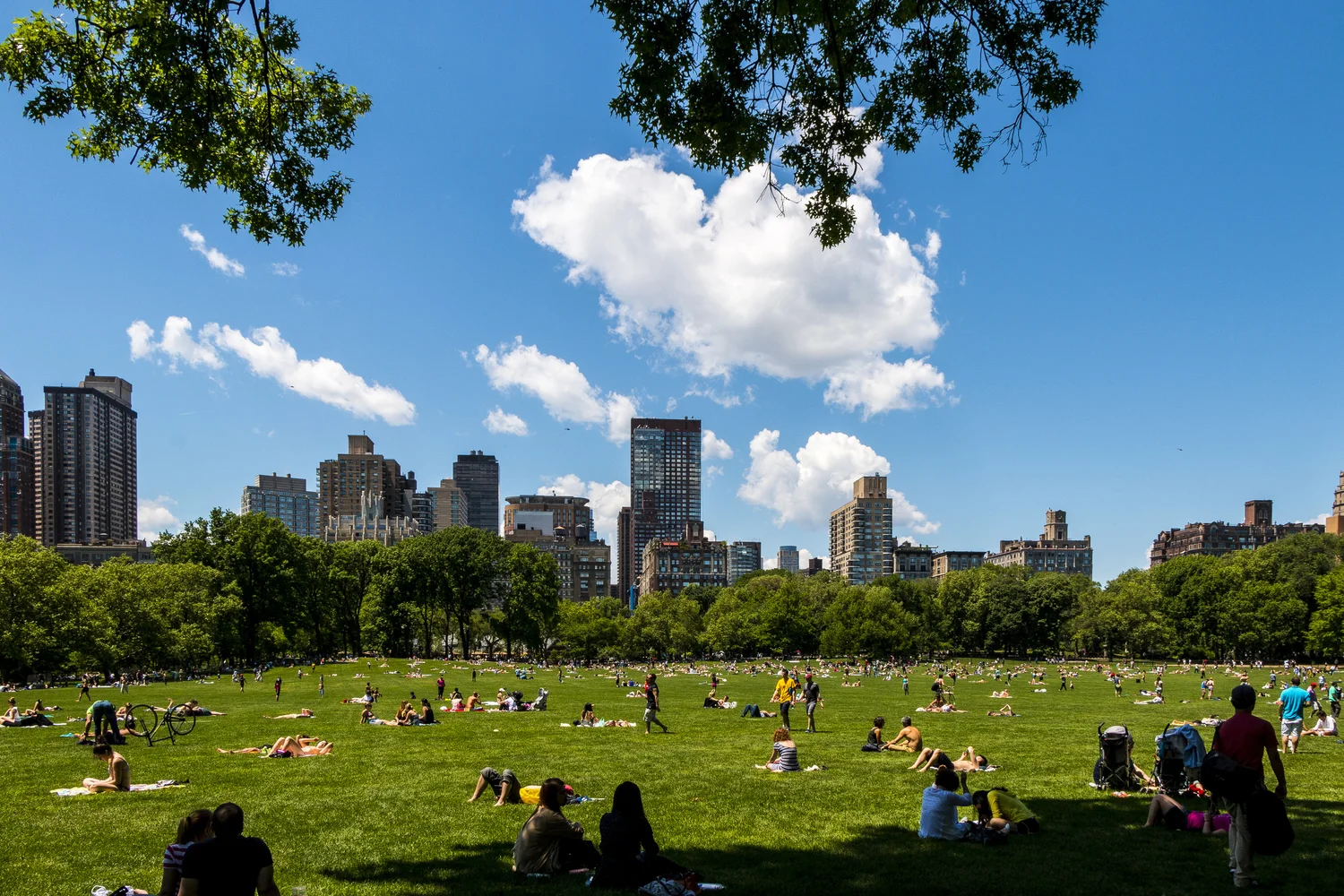 Exploring Central Park Like a Local: Insider Tips from The Monroe Hotels