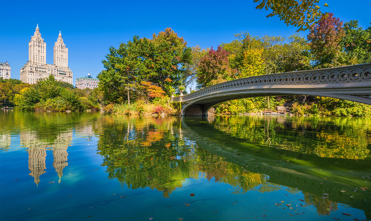 Exploring Central Park Like a Local: Insider Tips from The Monroe Hotels