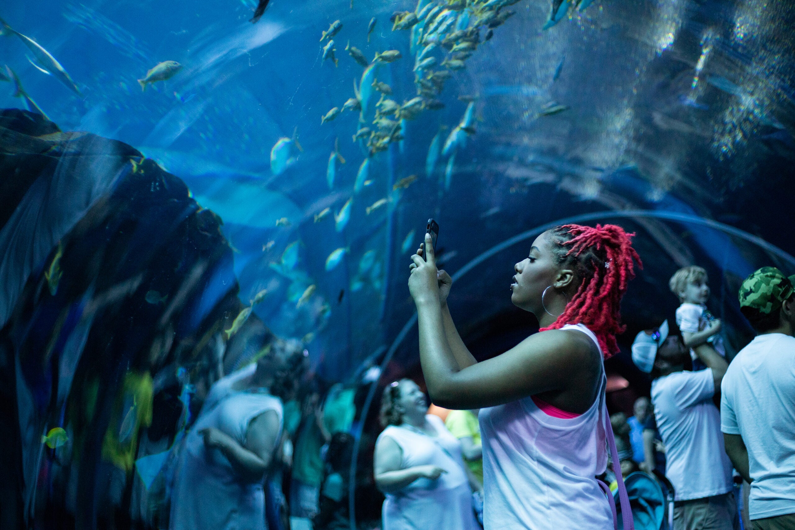 Exploring the Wonders of Georgia Aquarium : A Journey into the Heart of Marine Life