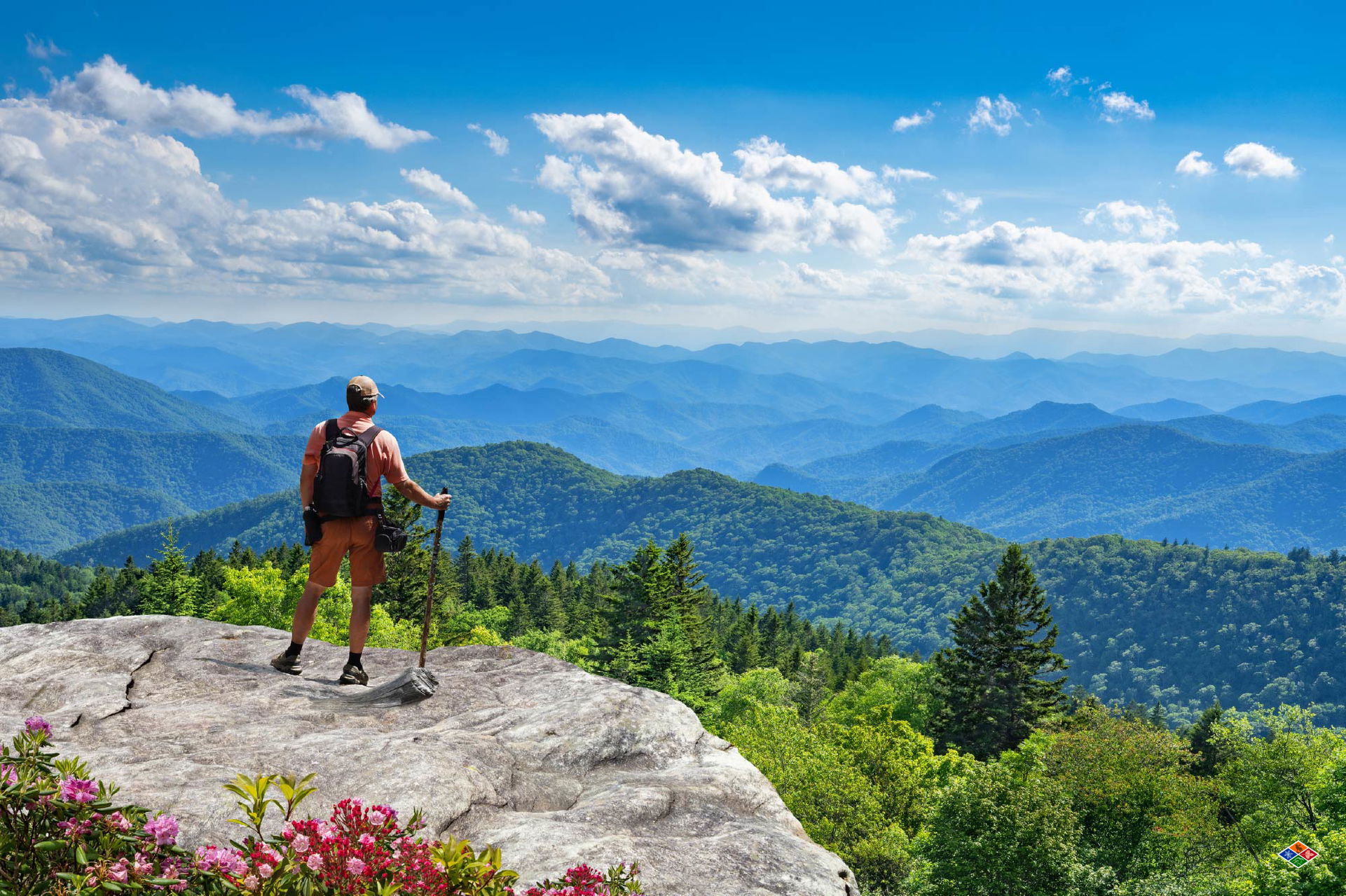 Great Smoky Mountains Adventure Awaits You: Explore Nature Like Never Before