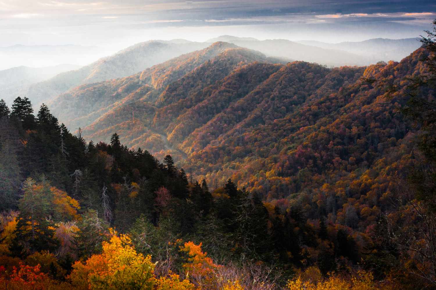 Great Smoky Mountains Adventure Awaits You: Explore Nature Like Never Before