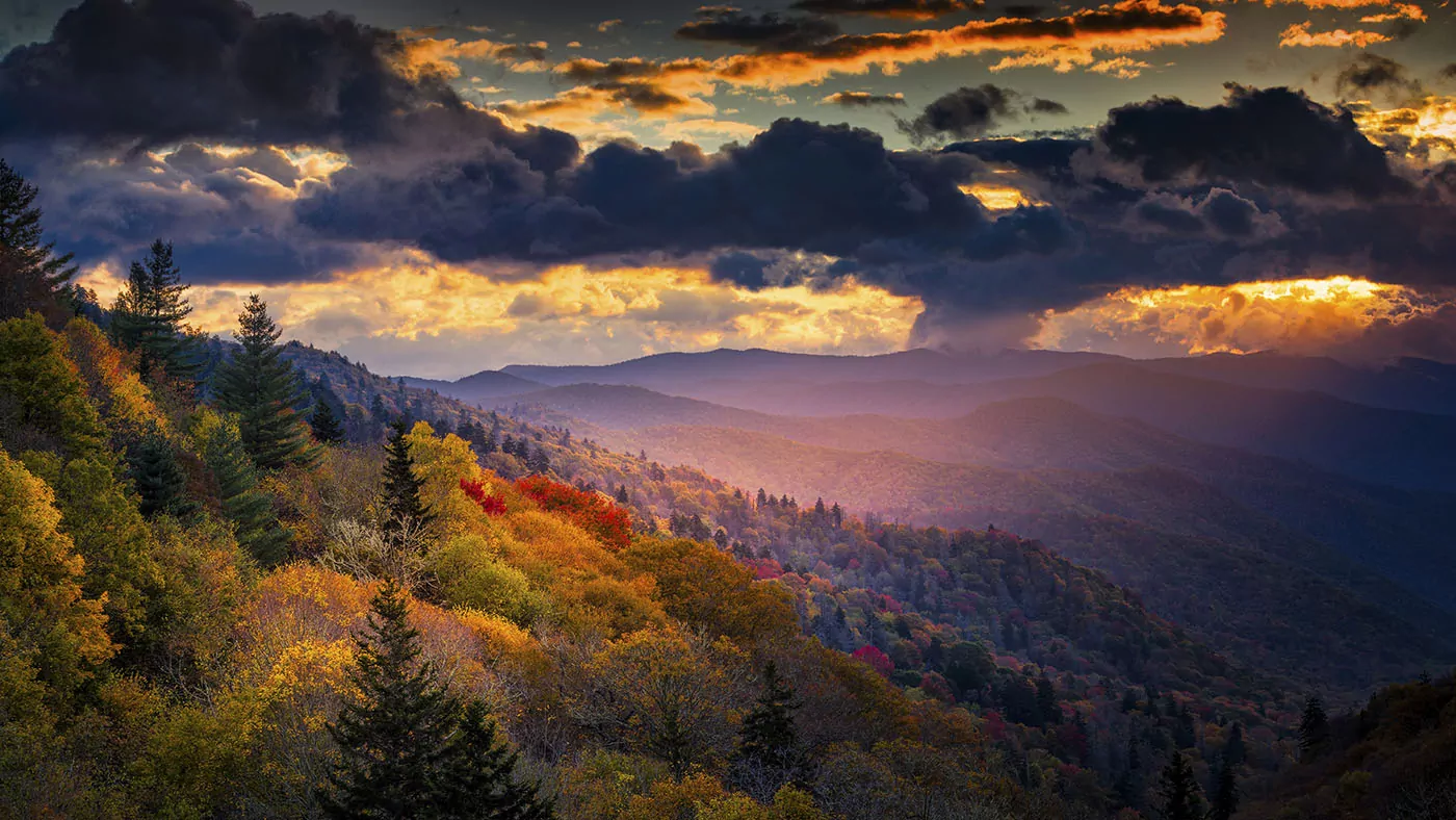 Great Smoky Mountains Adventure Awaits You: Explore Nature Like Never Before