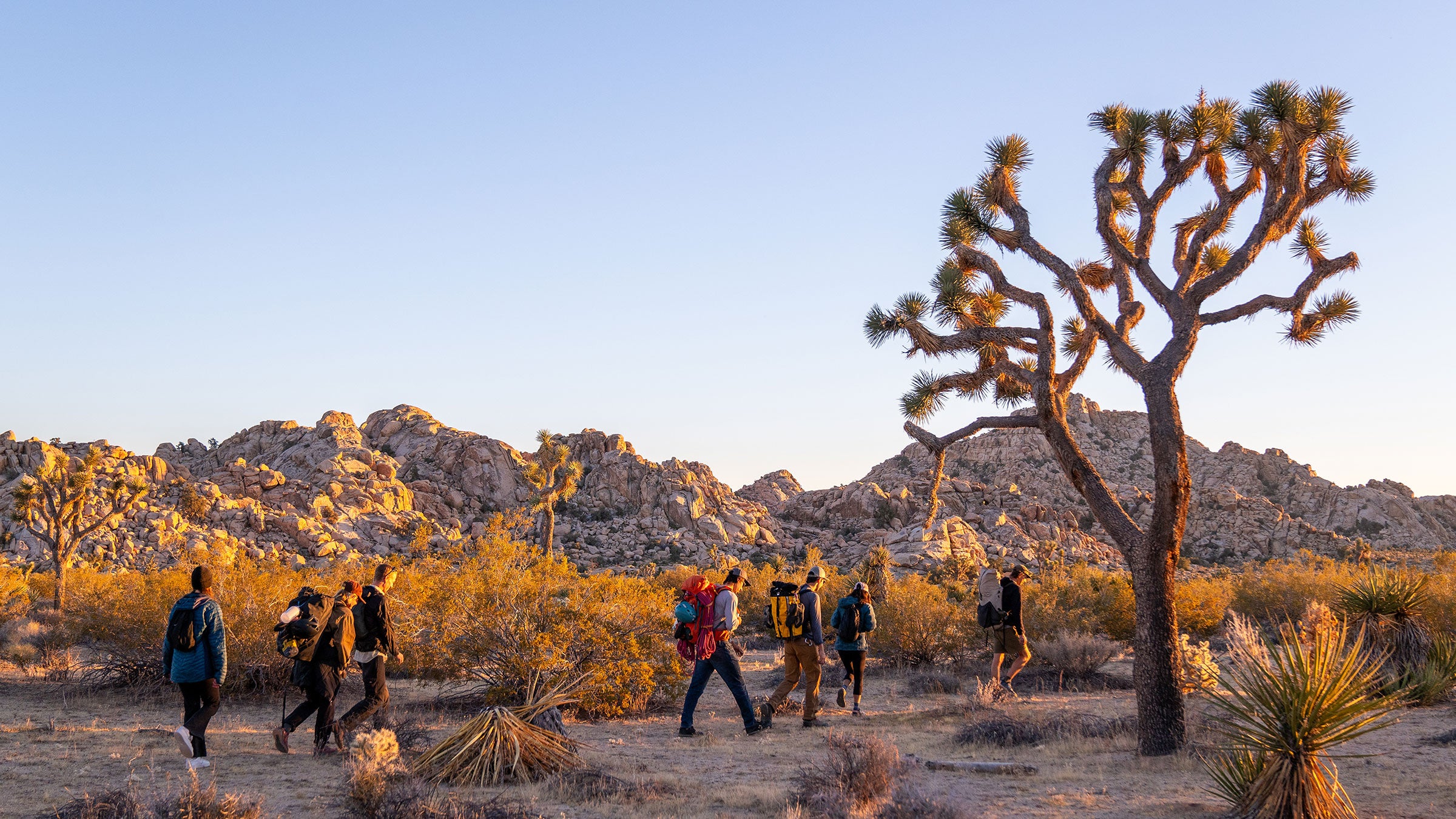 Joshua Tree National Park Adventure Guide You Can’t Miss