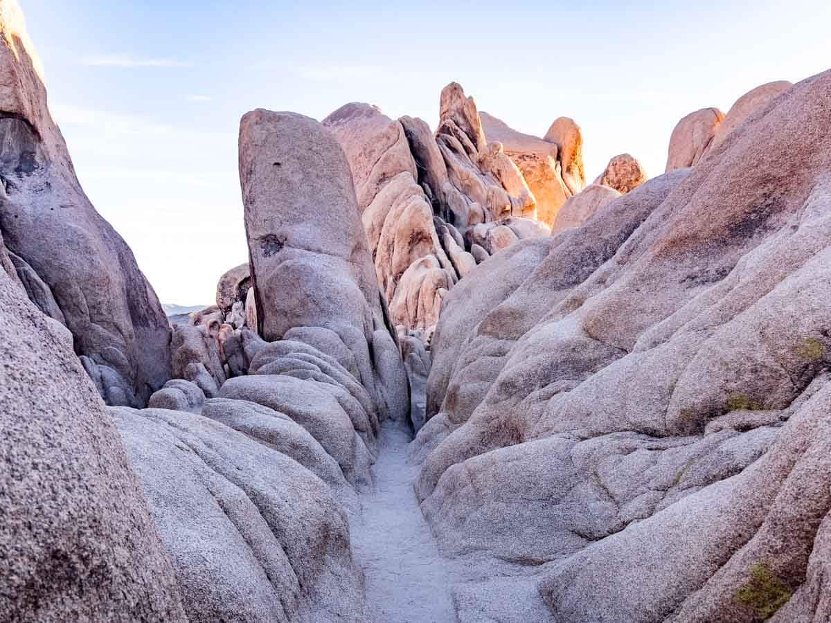 Joshua Tree National Park Adventure Guide You Can’t Miss