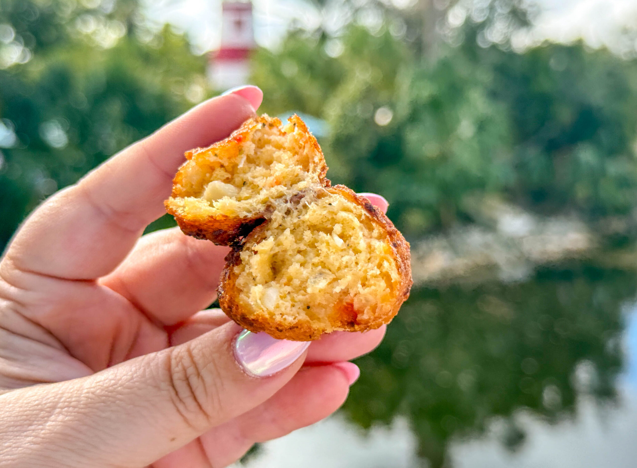 Key West Conch Fritters: A Must-Try Delicacy at The Monroe Hotels