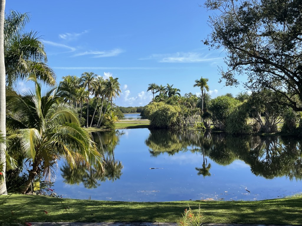 Miami Uncovered: The Ultimate Guide to Exploring the Magic City