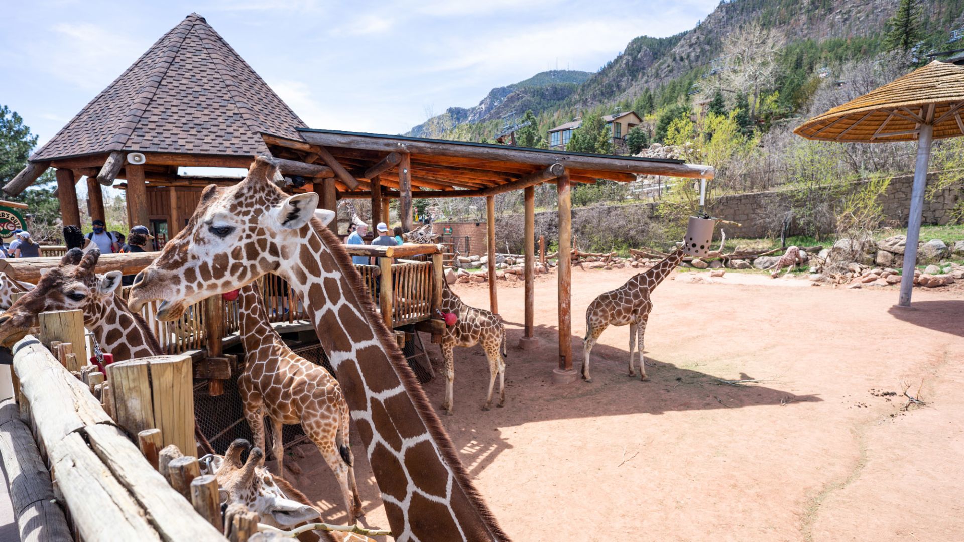 Microtel Inn &#038; Suites by Wyndham Fountain Fort Carson: Your Next Cozy Getaway Spot
