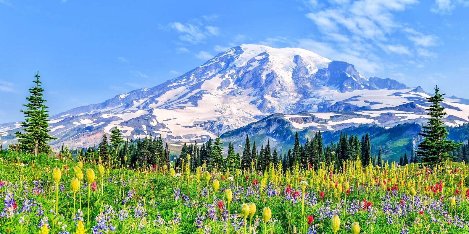 Mount Rainier National Park Adventure Awaits: Ultimate Guide by The Monroe Hotels