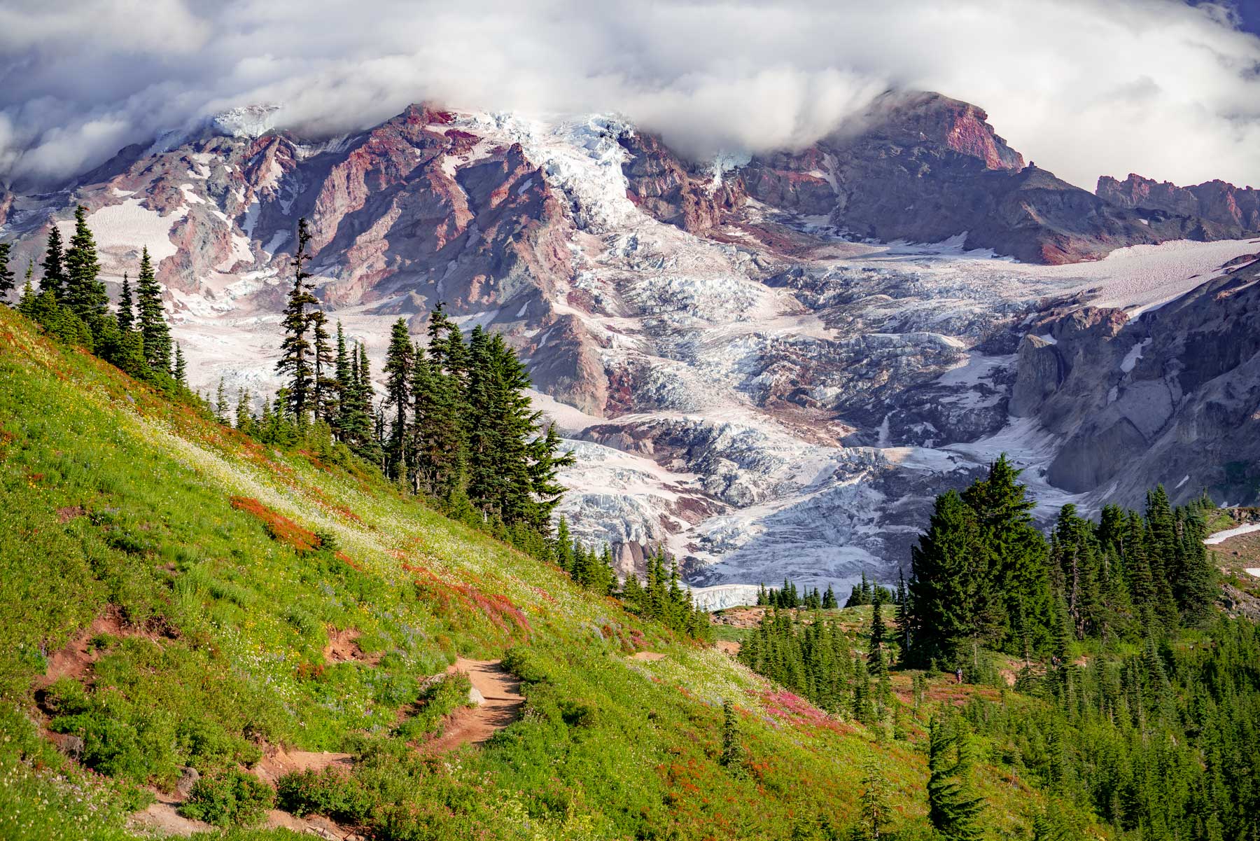 Mount Rainier National Park Adventure Awaits: Ultimate Guide by The Monroe Hotels