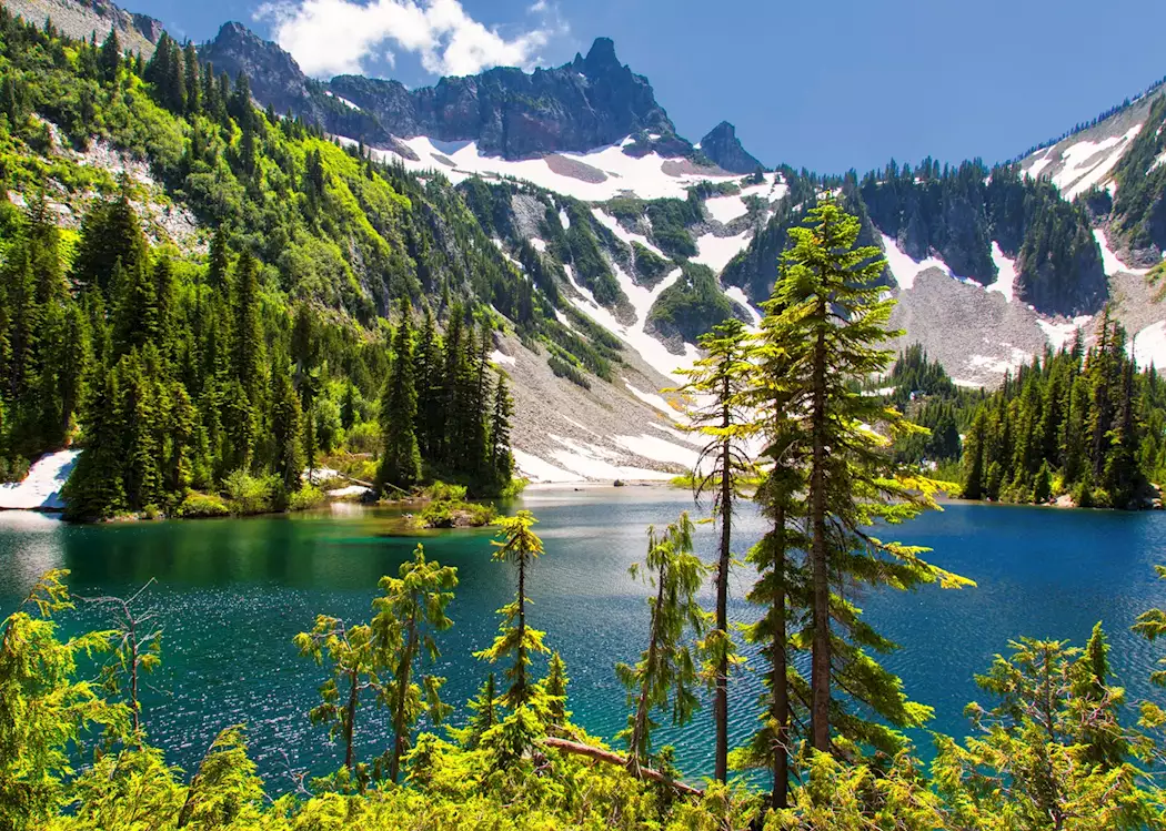 Mount Rainier National Park Adventure Awaits: Ultimate Guide by The Monroe Hotels