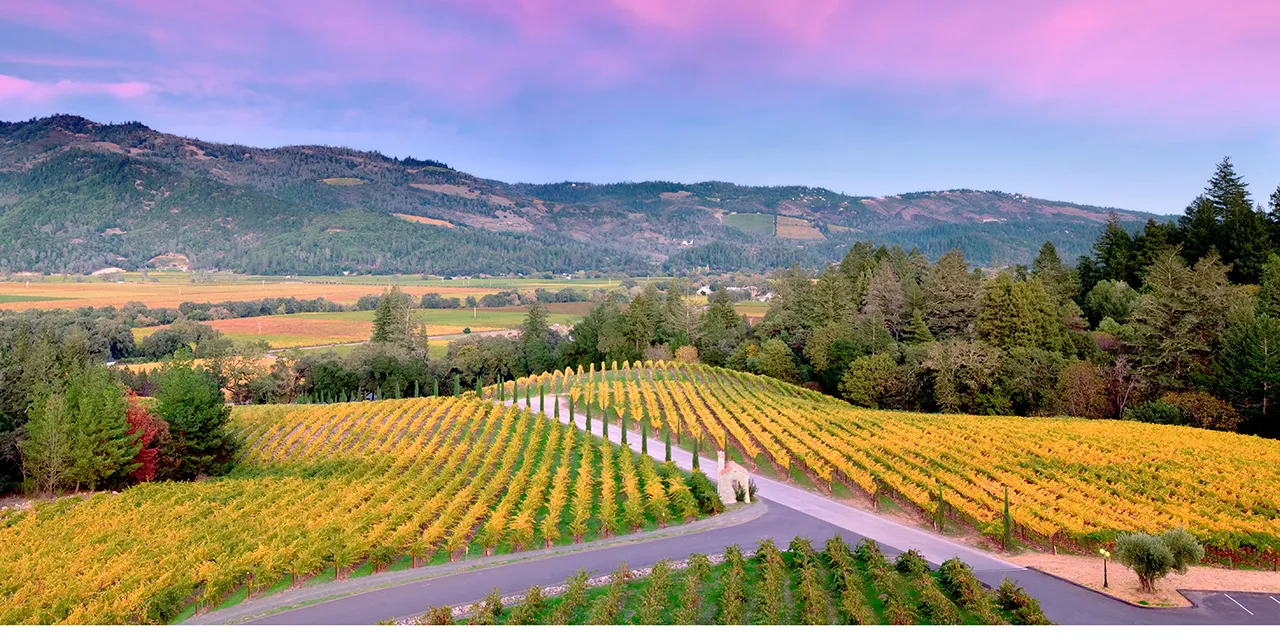 Napa Valley: The Ultimate Destination for Wine Lovers and Relaxation Seekers