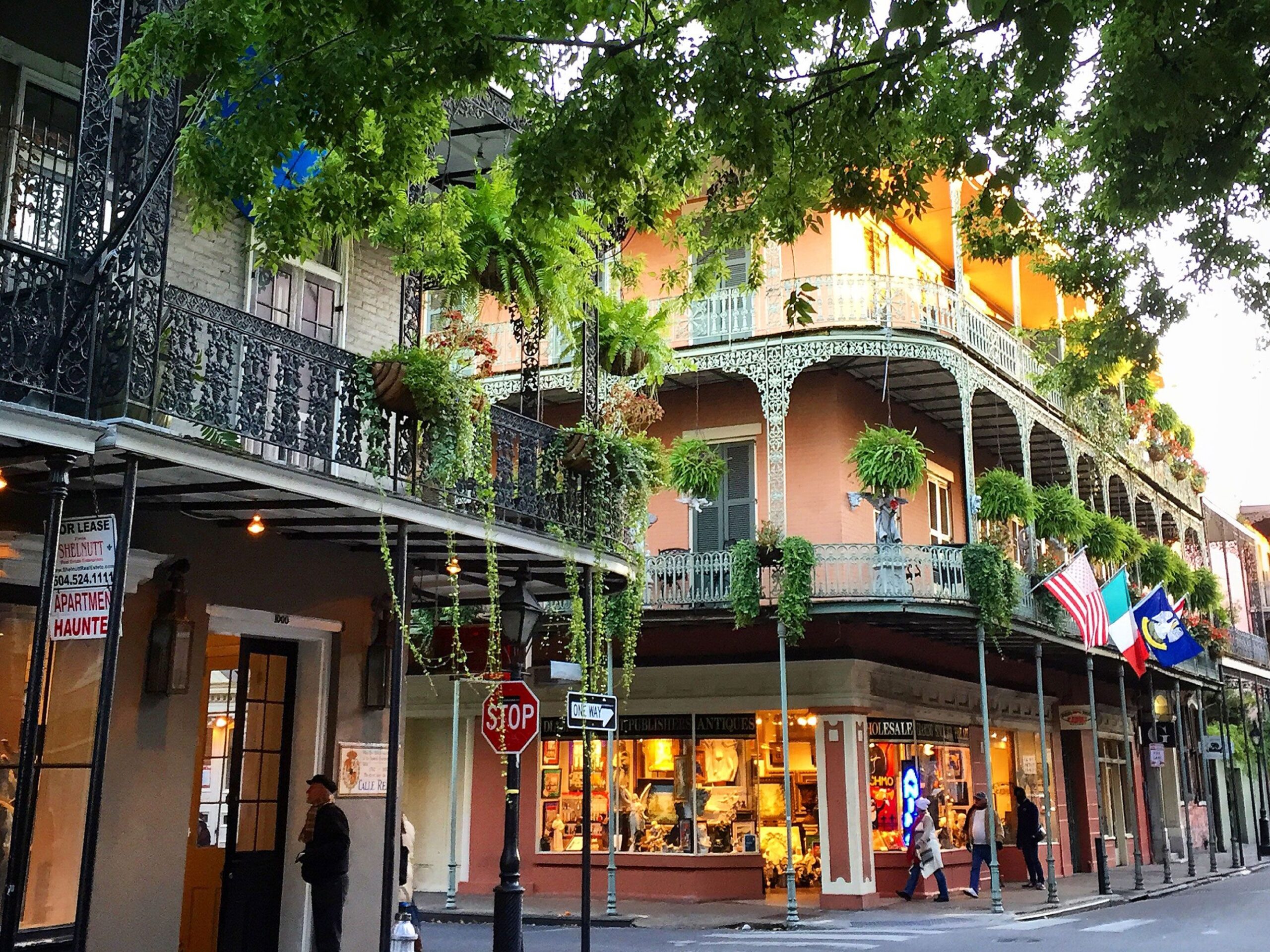 New Orleans Vibes You Can’t Miss: Your Ultimate Insider Guide