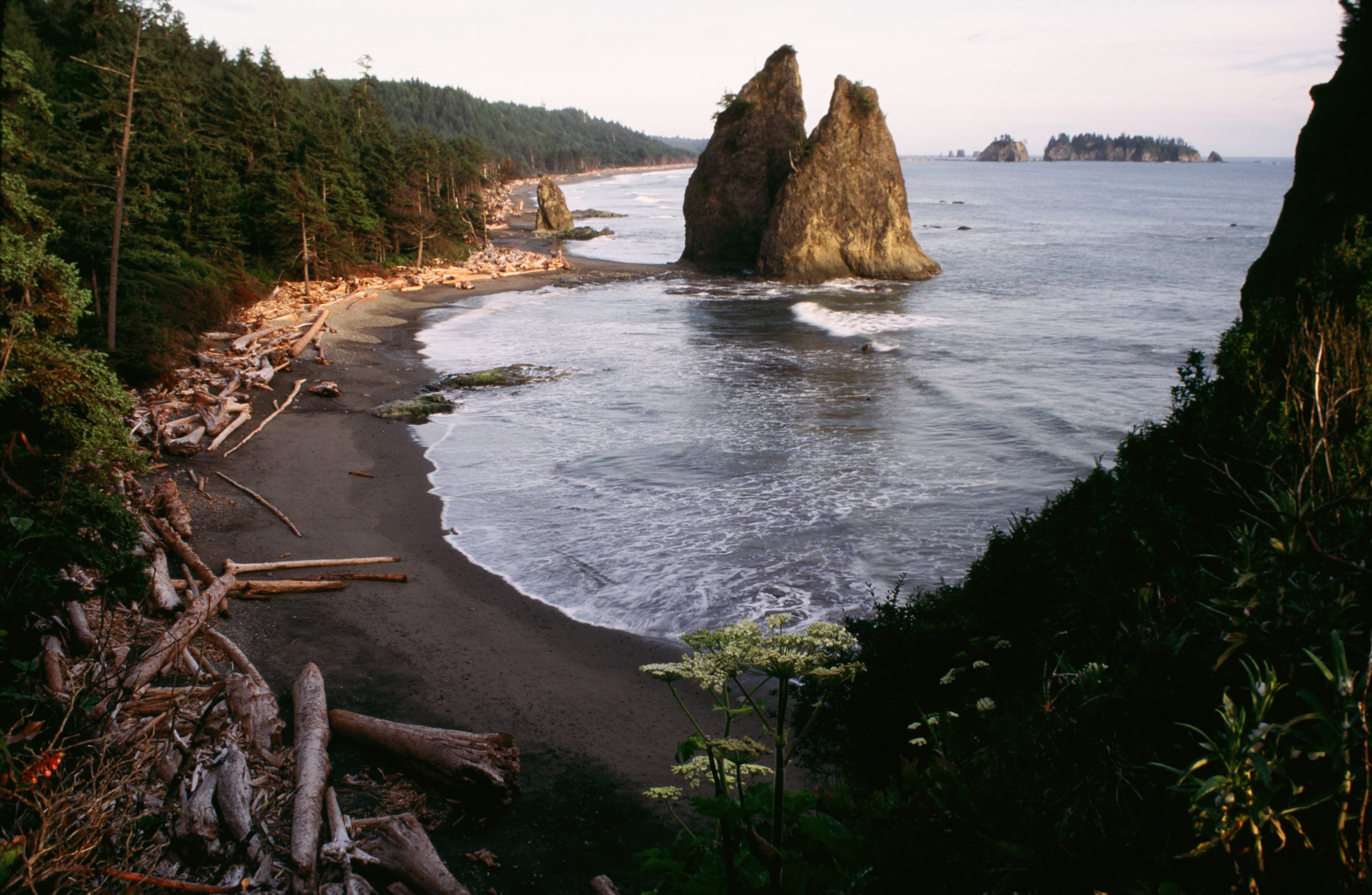 Olympic National Park: The Ultimate Adventure Awaits